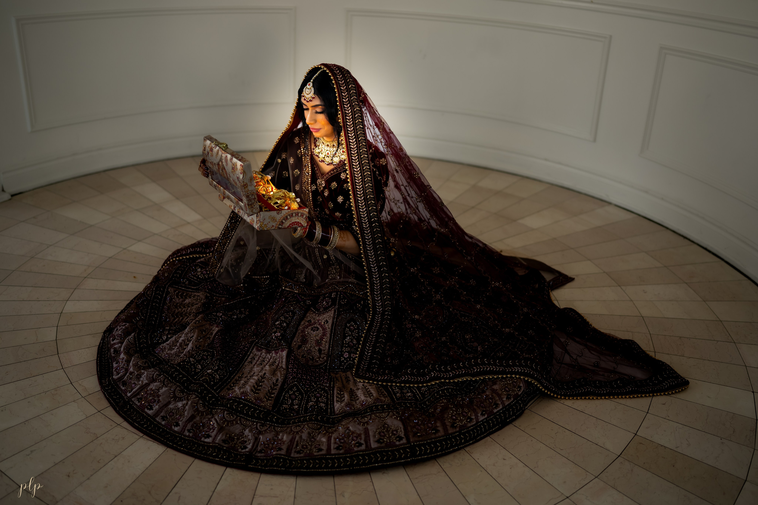 Kashish & Andrew. Wedding Photographers and Filmmakers