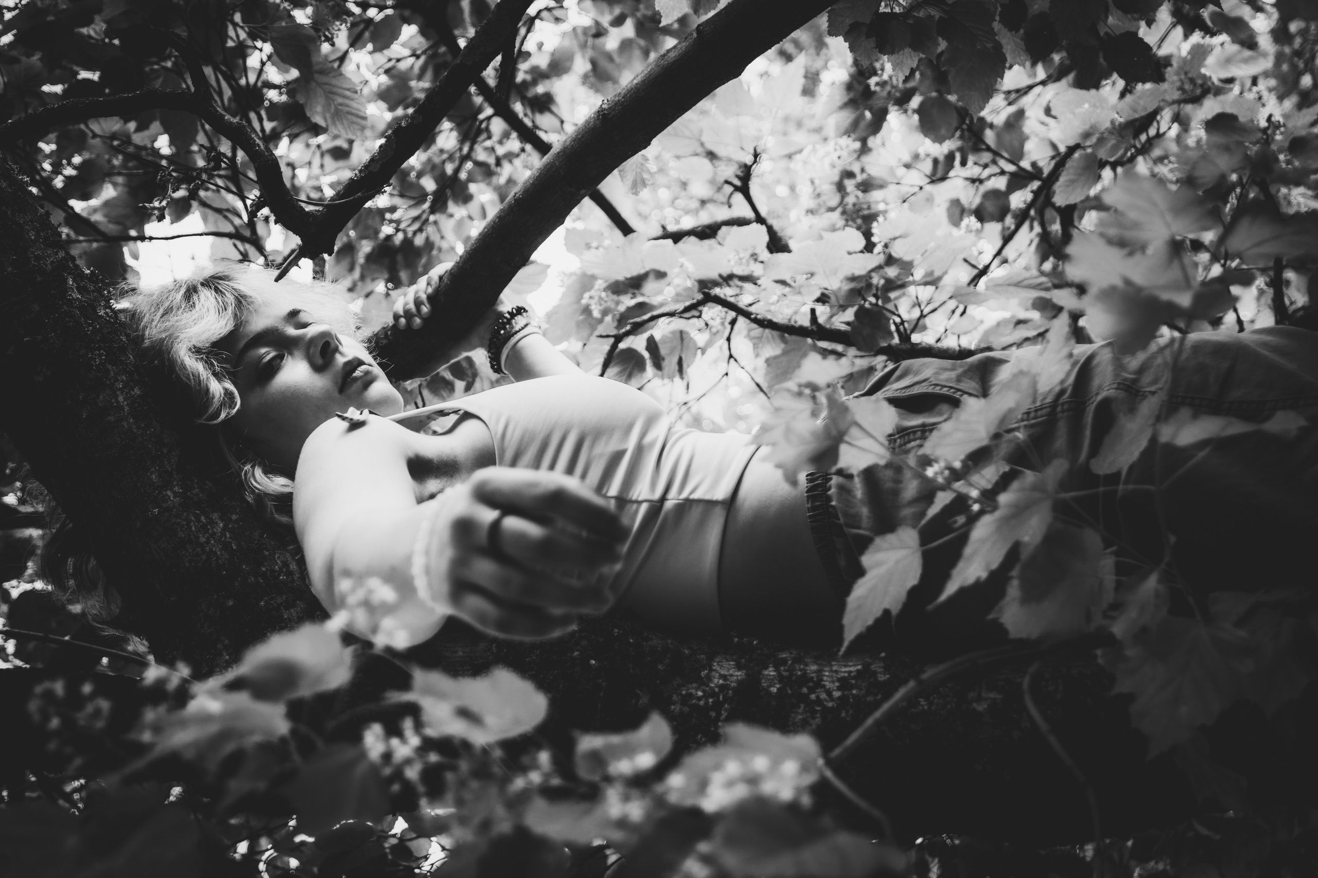 Lahe graatsia (Sonja). Nebula 25 — Fotod teie hingele