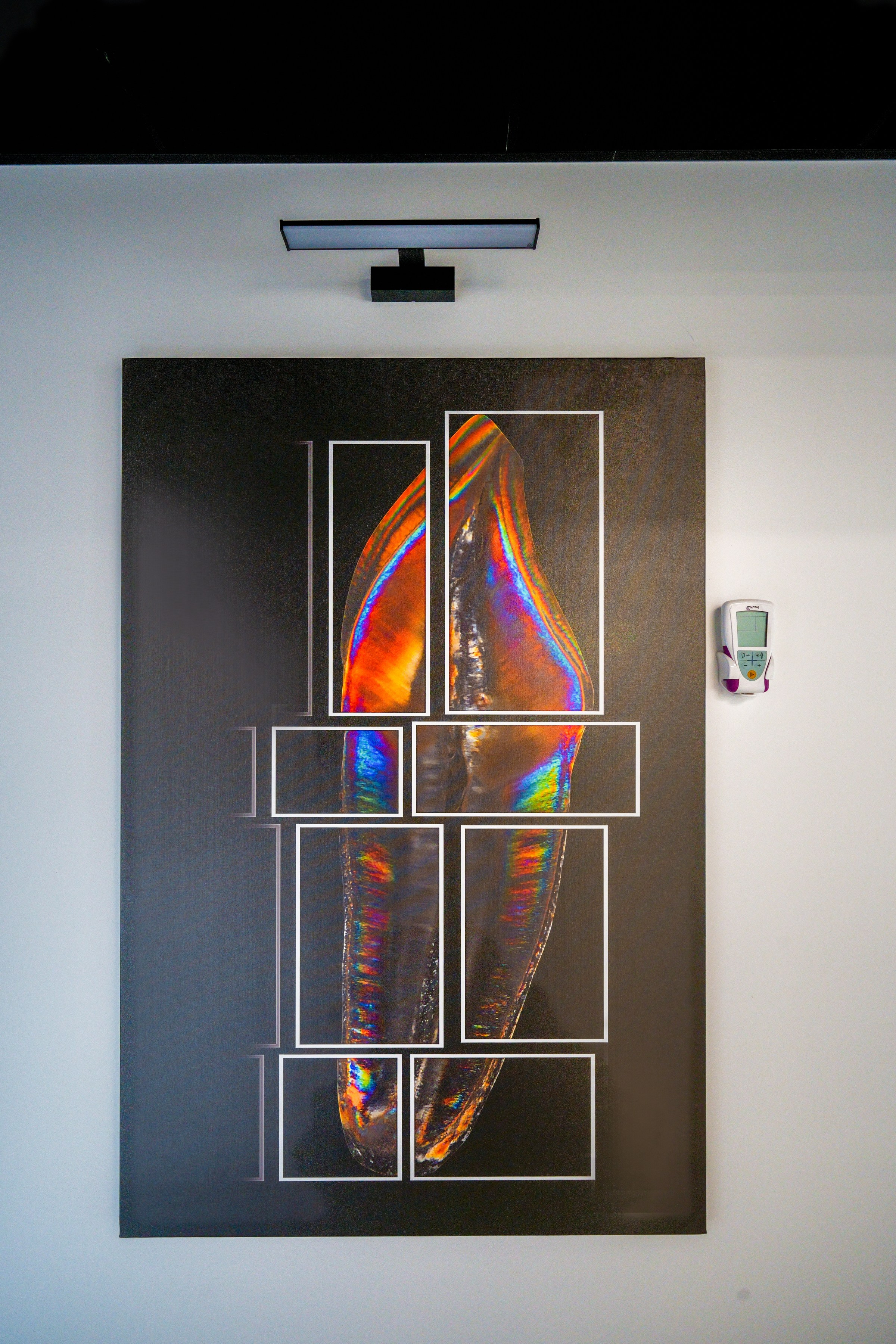 Žaliųjų ežerų g. 27. Elina Sapiega fotografė Vilniuje