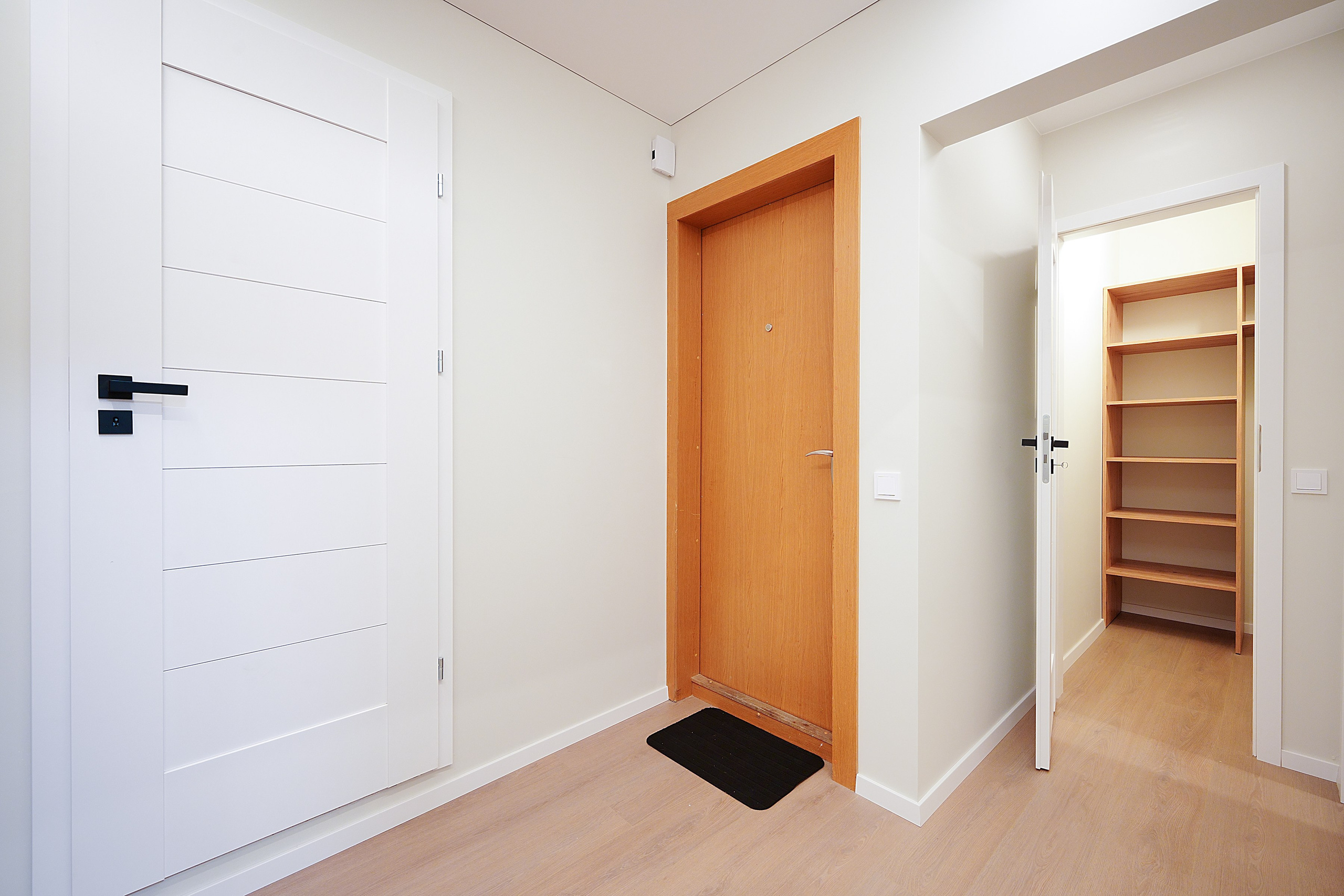 Stanevičiaus g. 82. Elina Sapiega fotografė Vilniuje