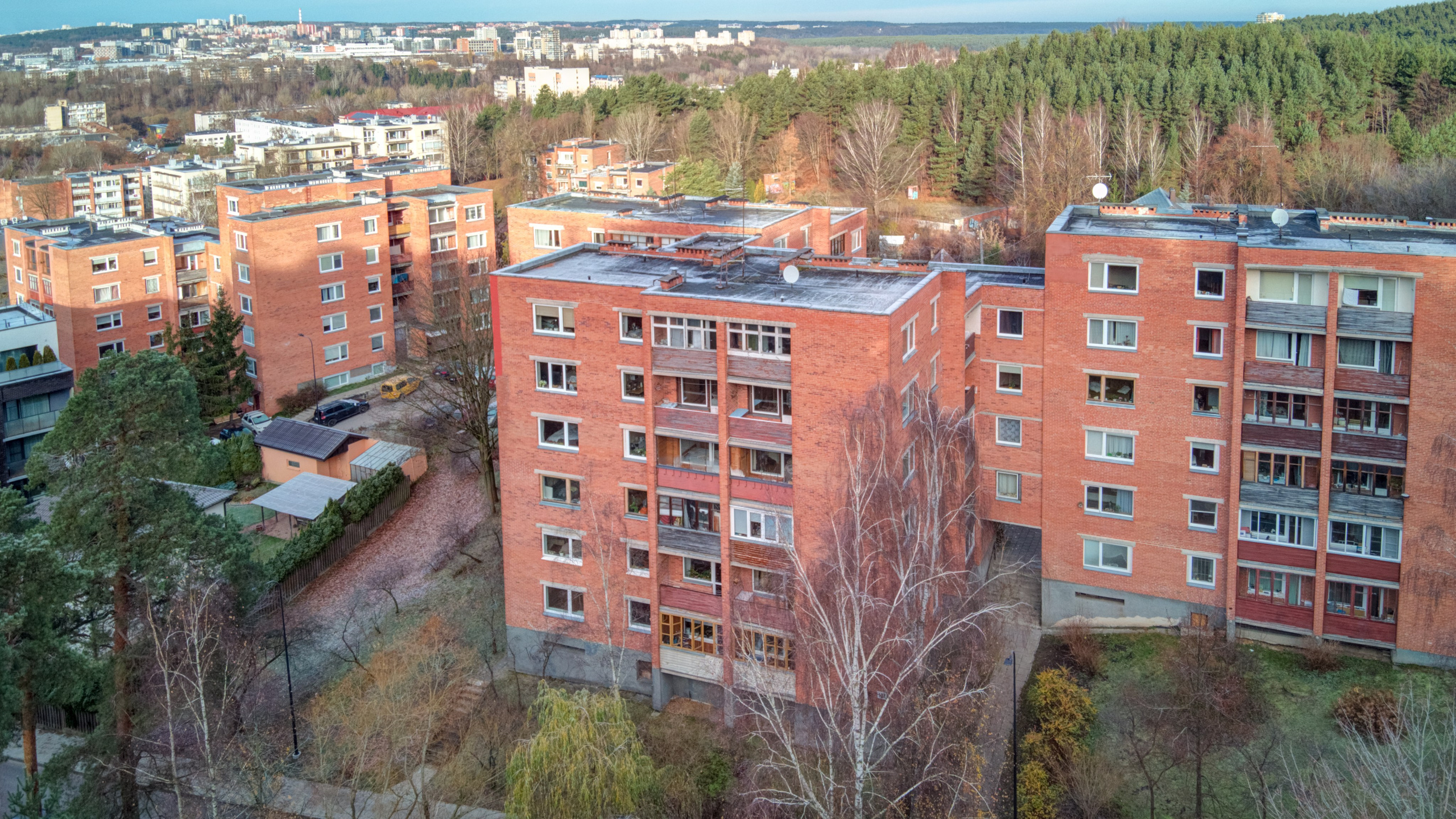 Dronas Antakalnis, Kanklių 10. Elina Sapiega fotografė Vilniuje