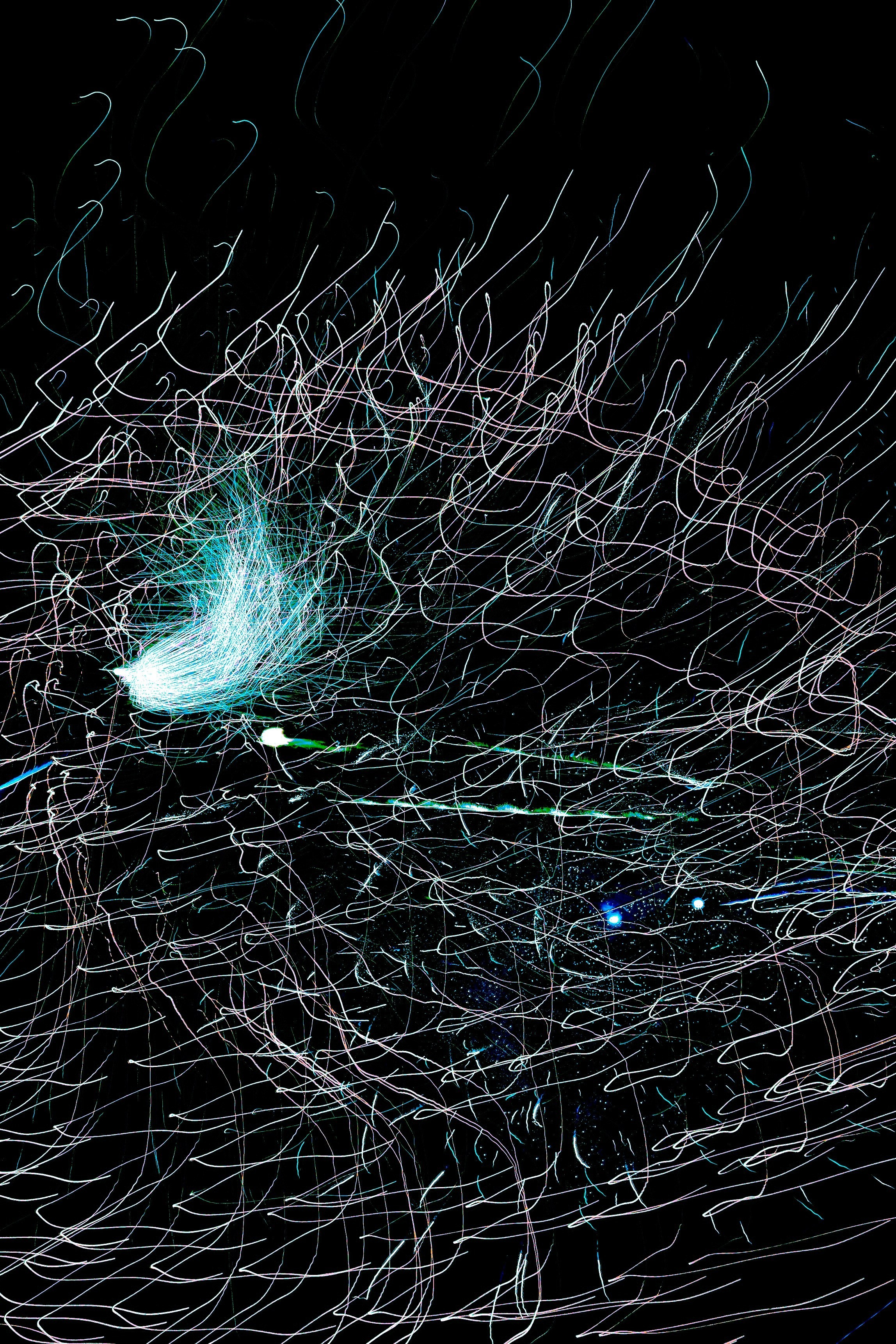 Photography. Fermented Solipsism artist & documentary photographer in California