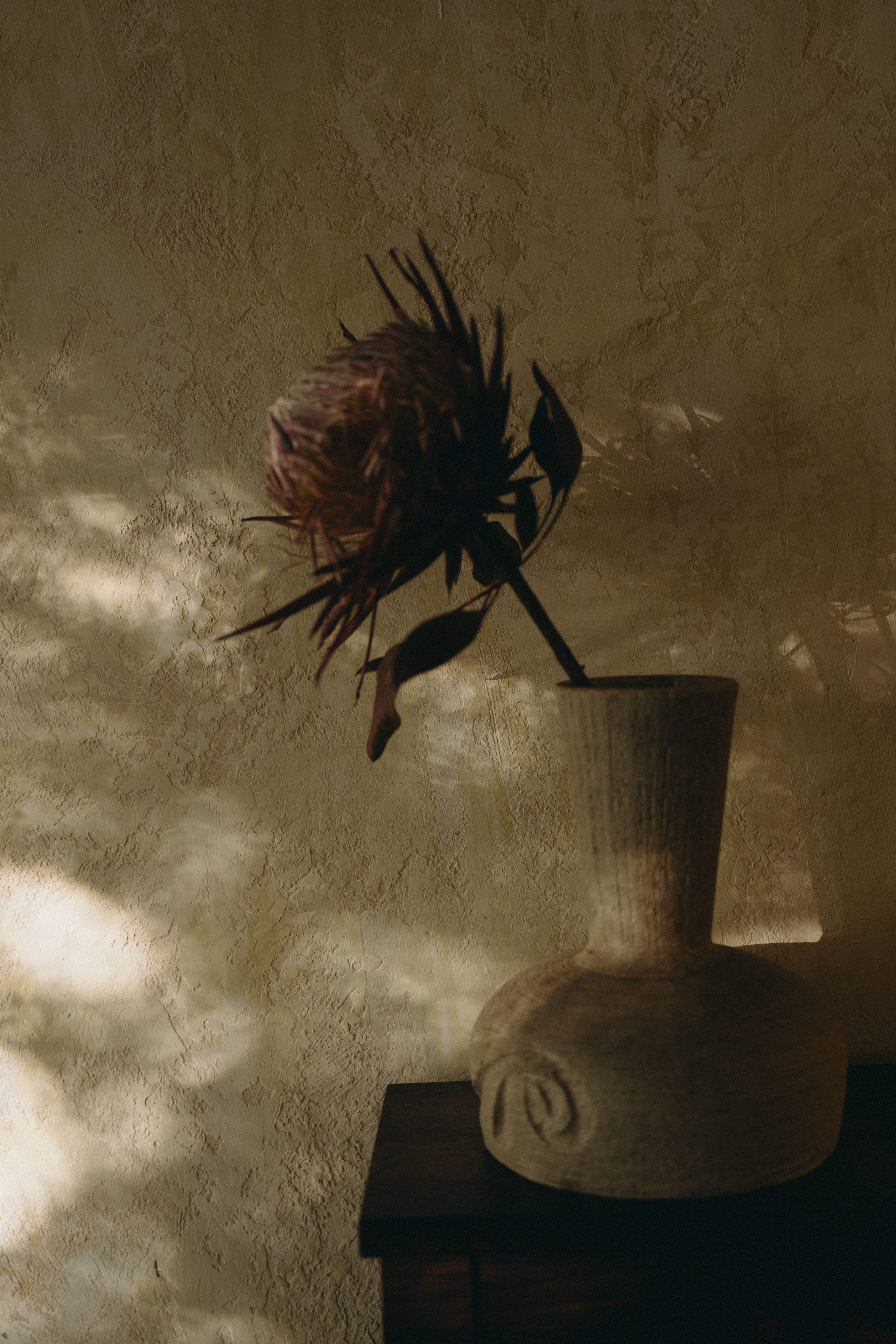 Jing + Shana. BenColor Studio