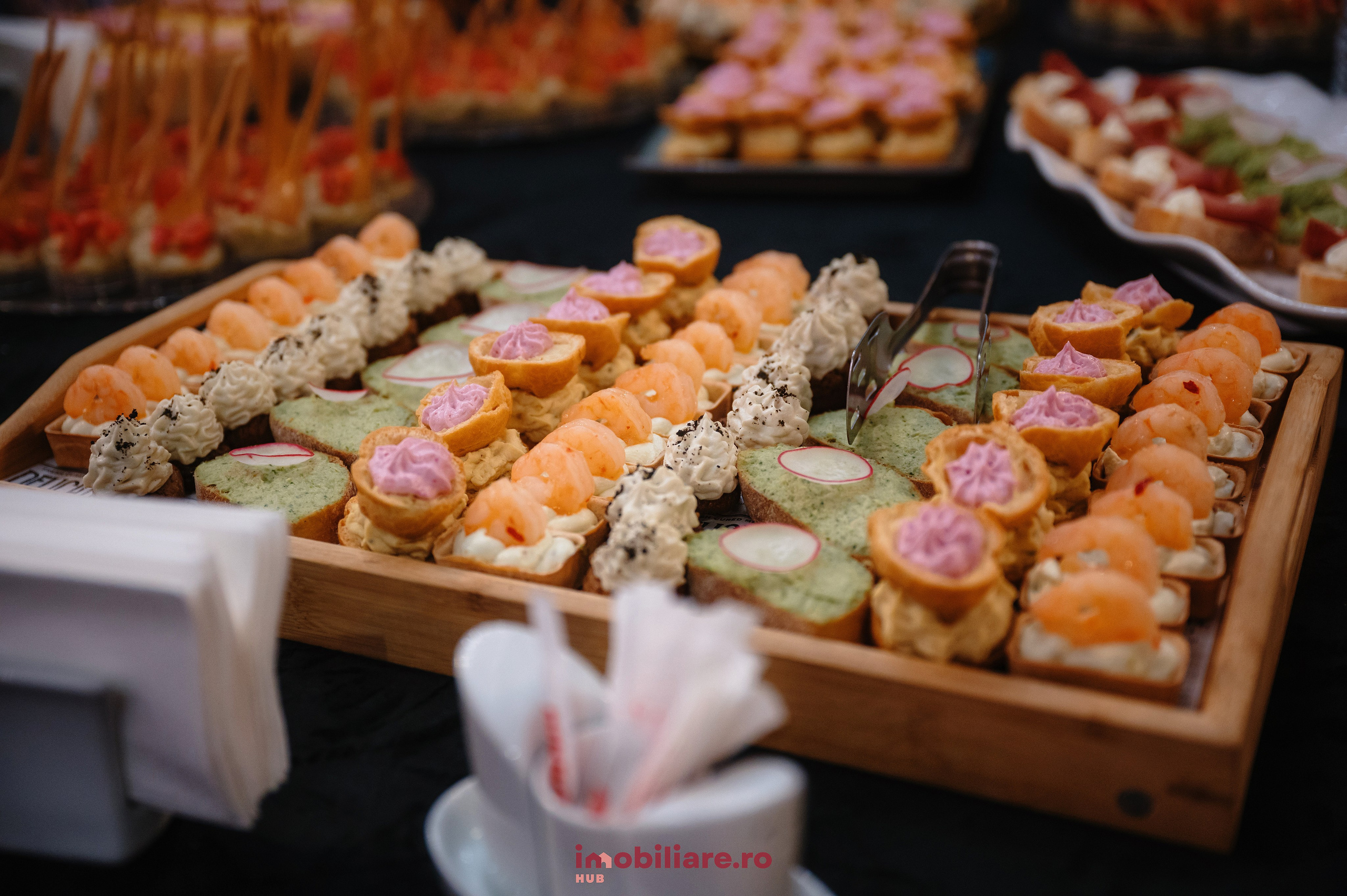 Imobliare HUB. Laurentiu Stefan StoryTeller