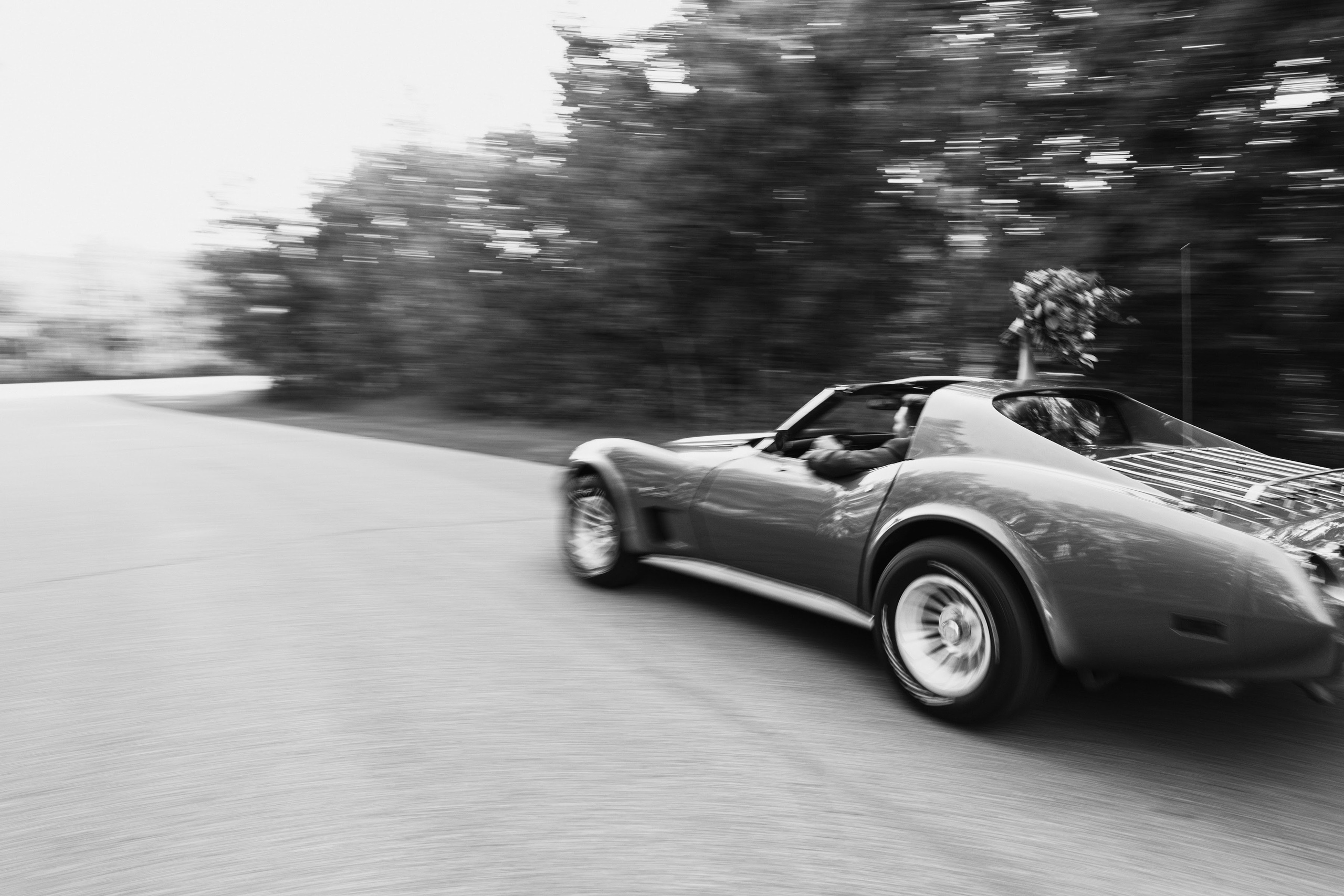 Wedding Photographer in Winnipeg — Cinematic & Timeless by Vitiuk Photography