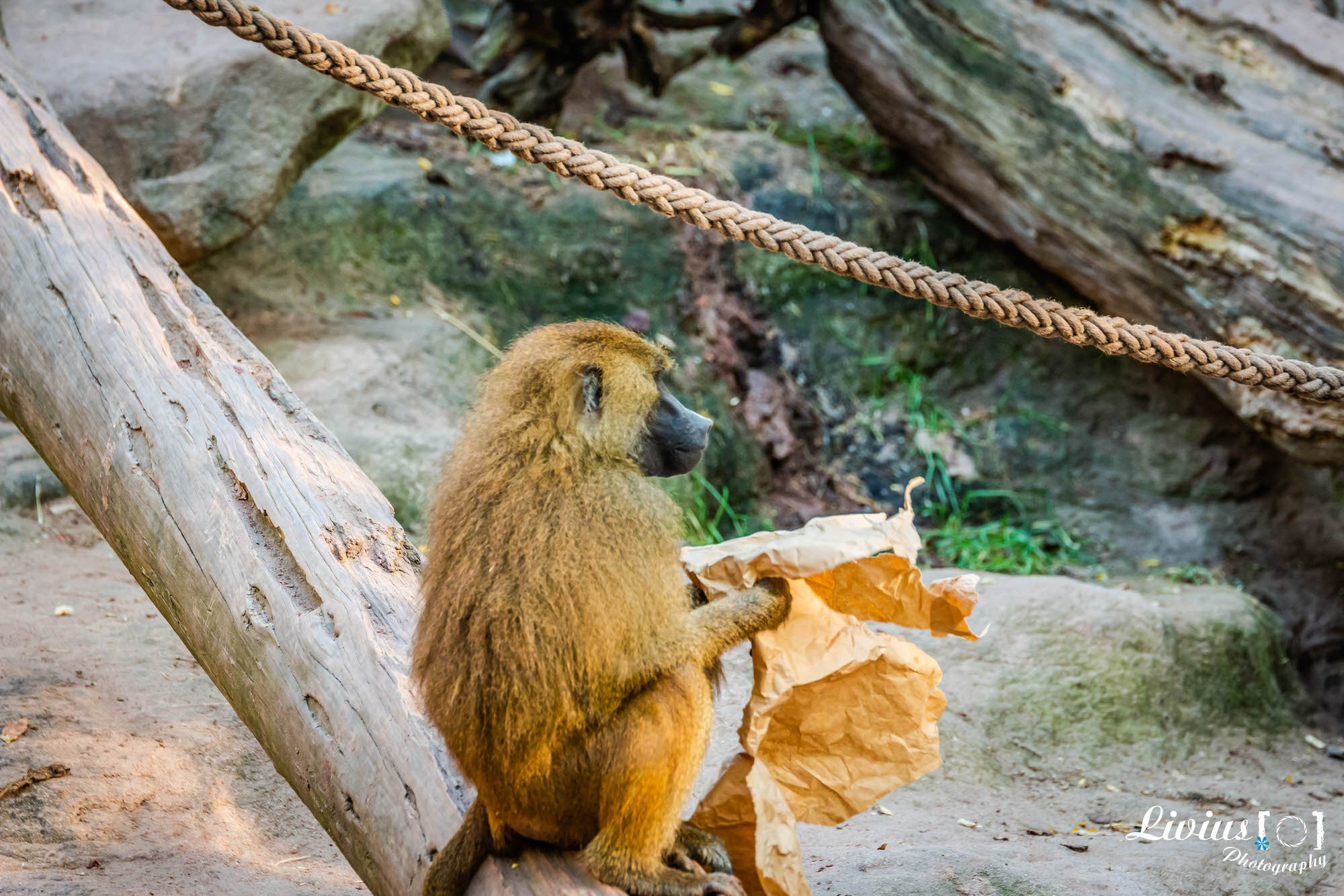 Tierpark Nürnberg. FOTO KREATIV