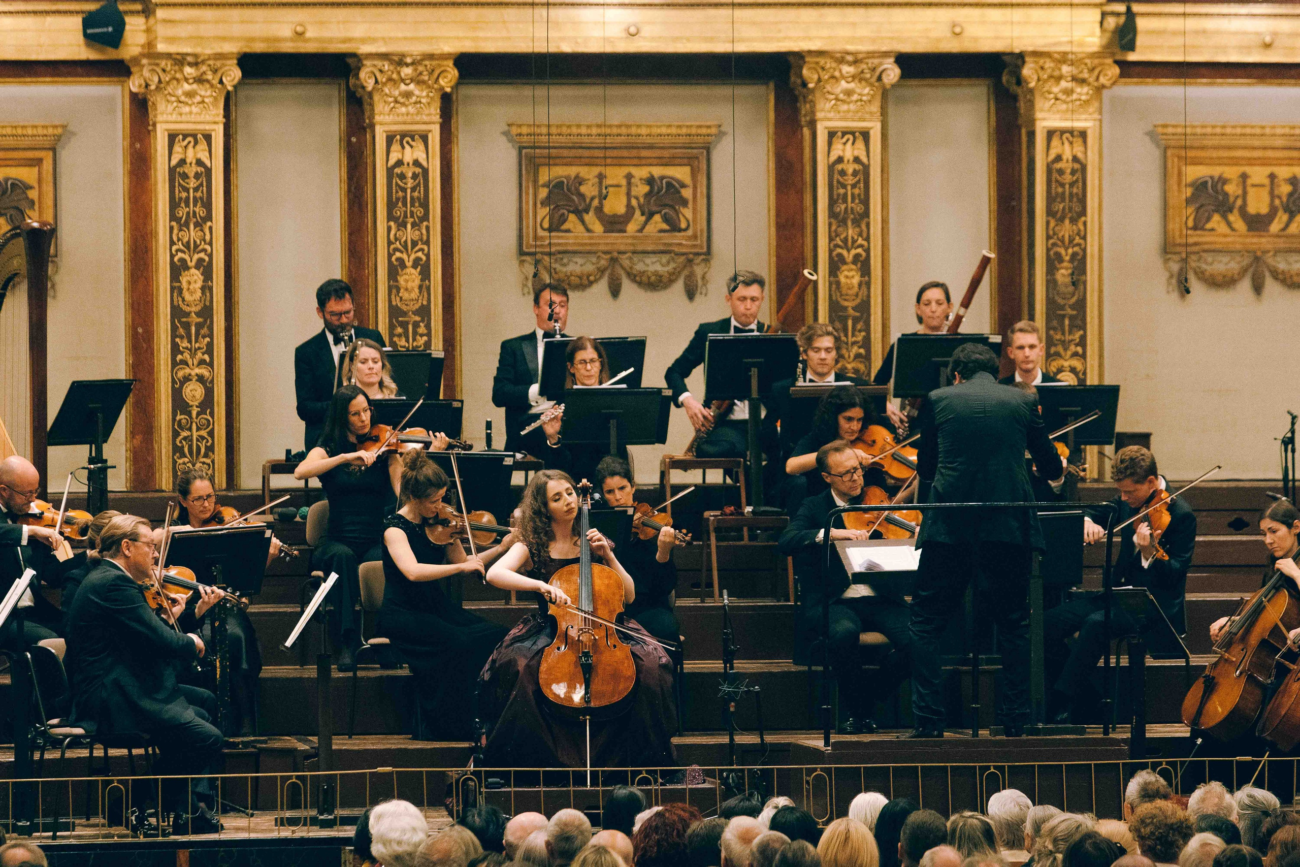 MUSIKVEREIN (VIENNA). Wedding&Event photographer Ismail Rzayev in Baku