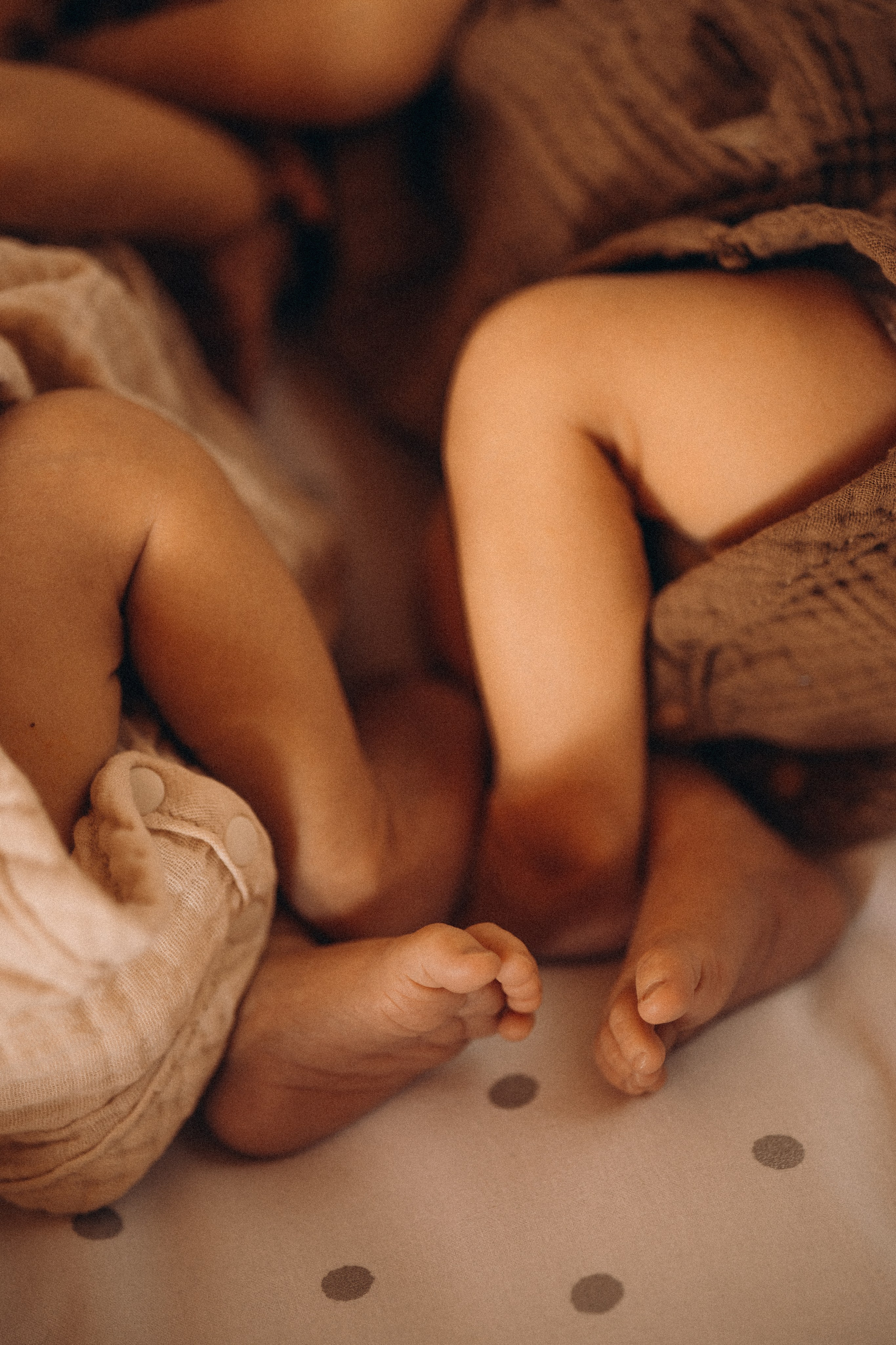 Newborn. Photographer Madeira