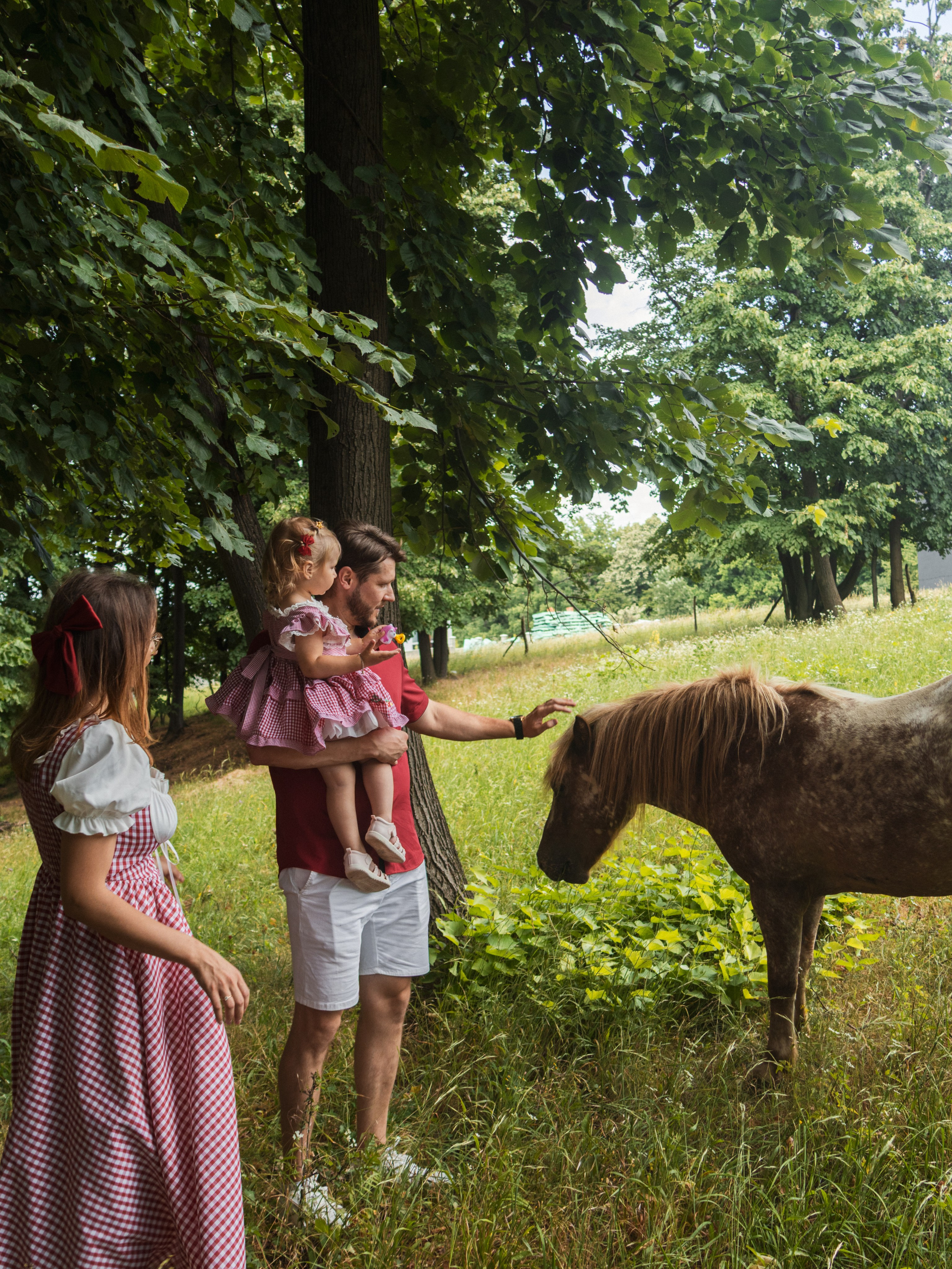 Family Session — Farm with Ponies