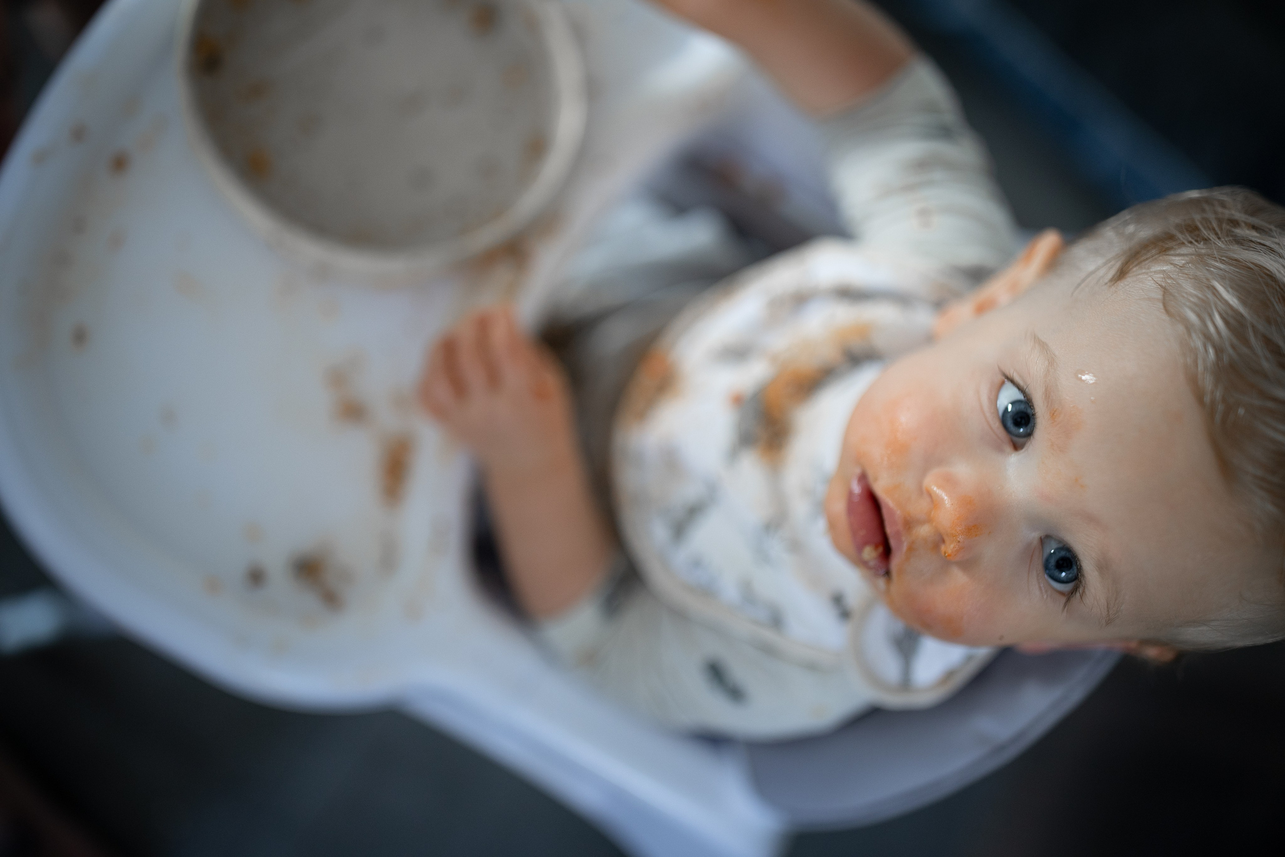Photos from different family photoshoots