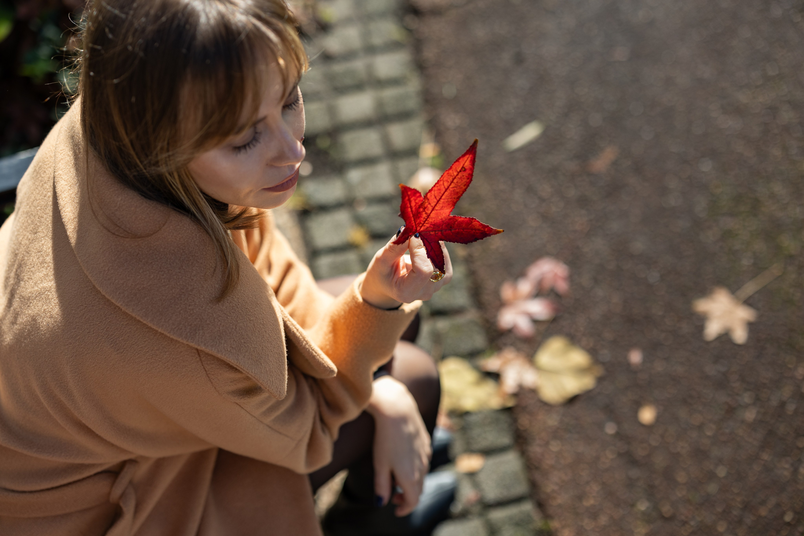 Lifestyle photos from different photoshoots