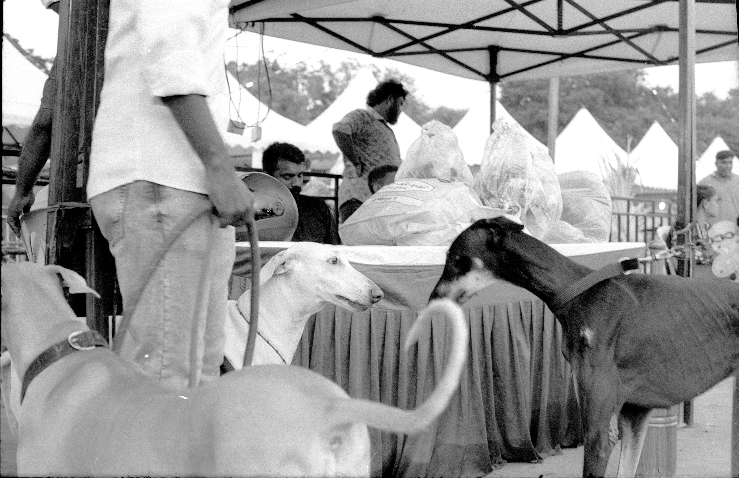 Everything on Film. Portrait, Fashion & Fitness Photography in Chennai| SunnyHazePhotography