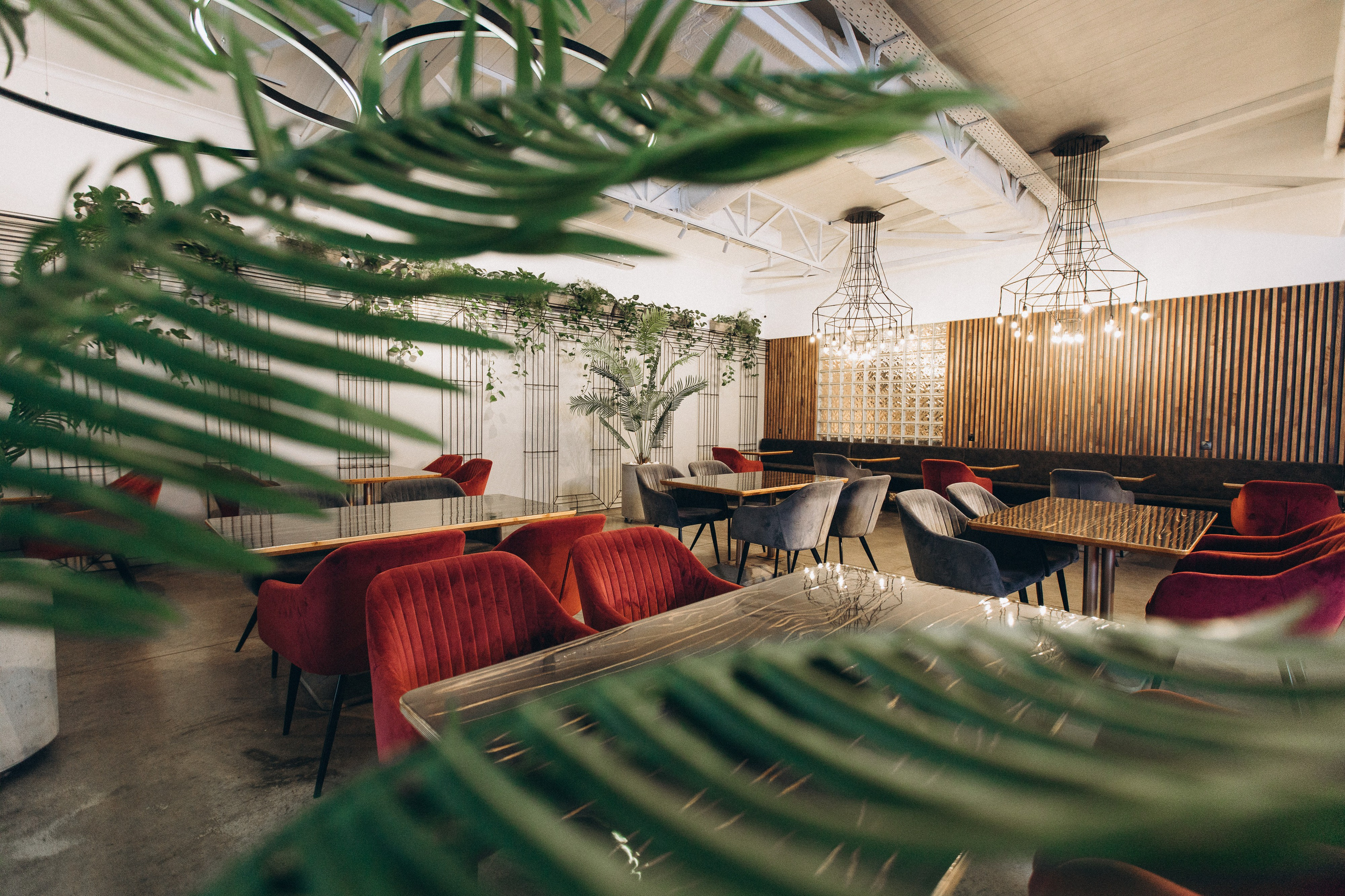 Мережа ресторанів Classic. Ірина Терещук