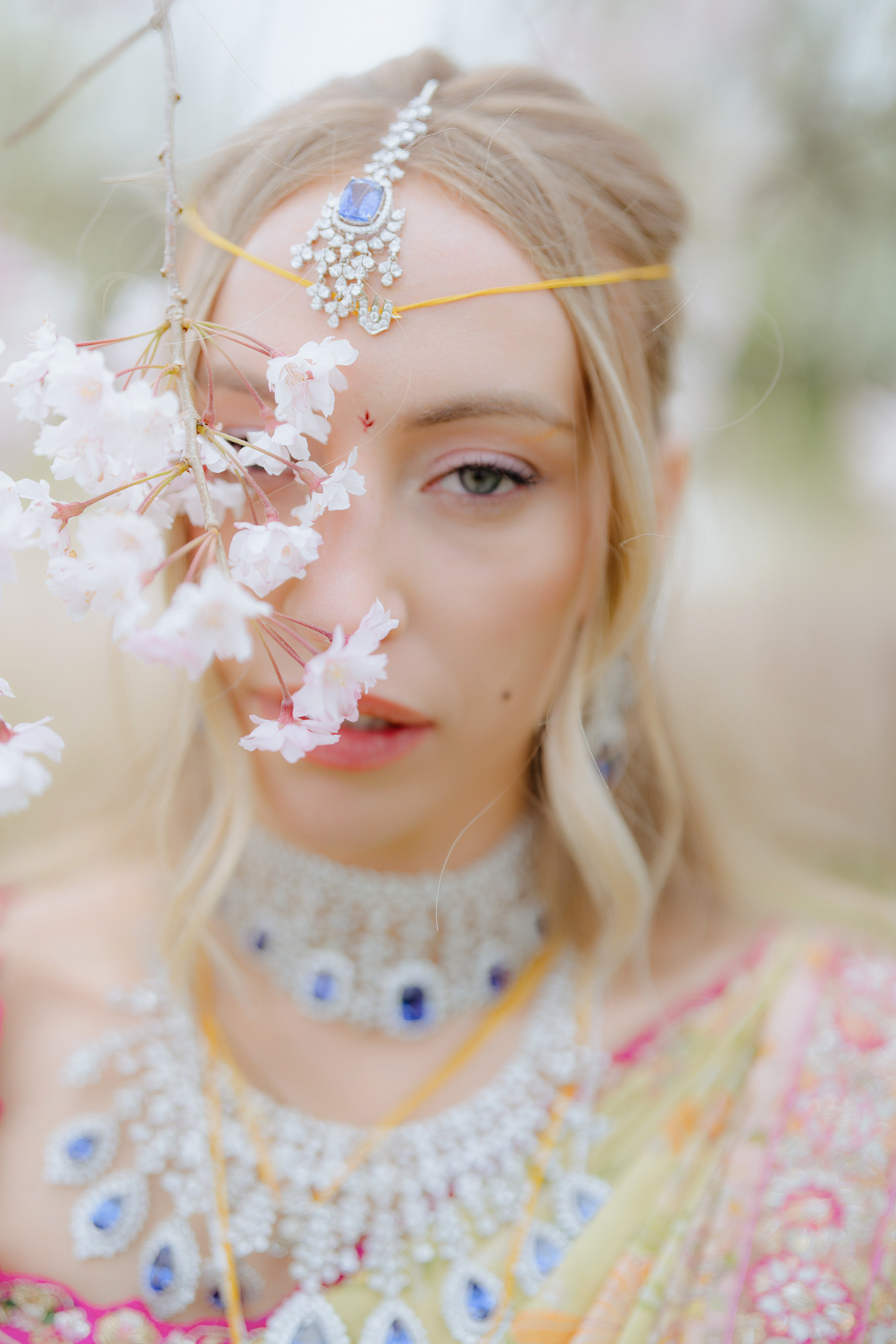 Luxury Indian Wedding Photography Gallery | New York & New Jersey & Florida | Vova Chi. Wedding photographer and videographer New York | New Jersey