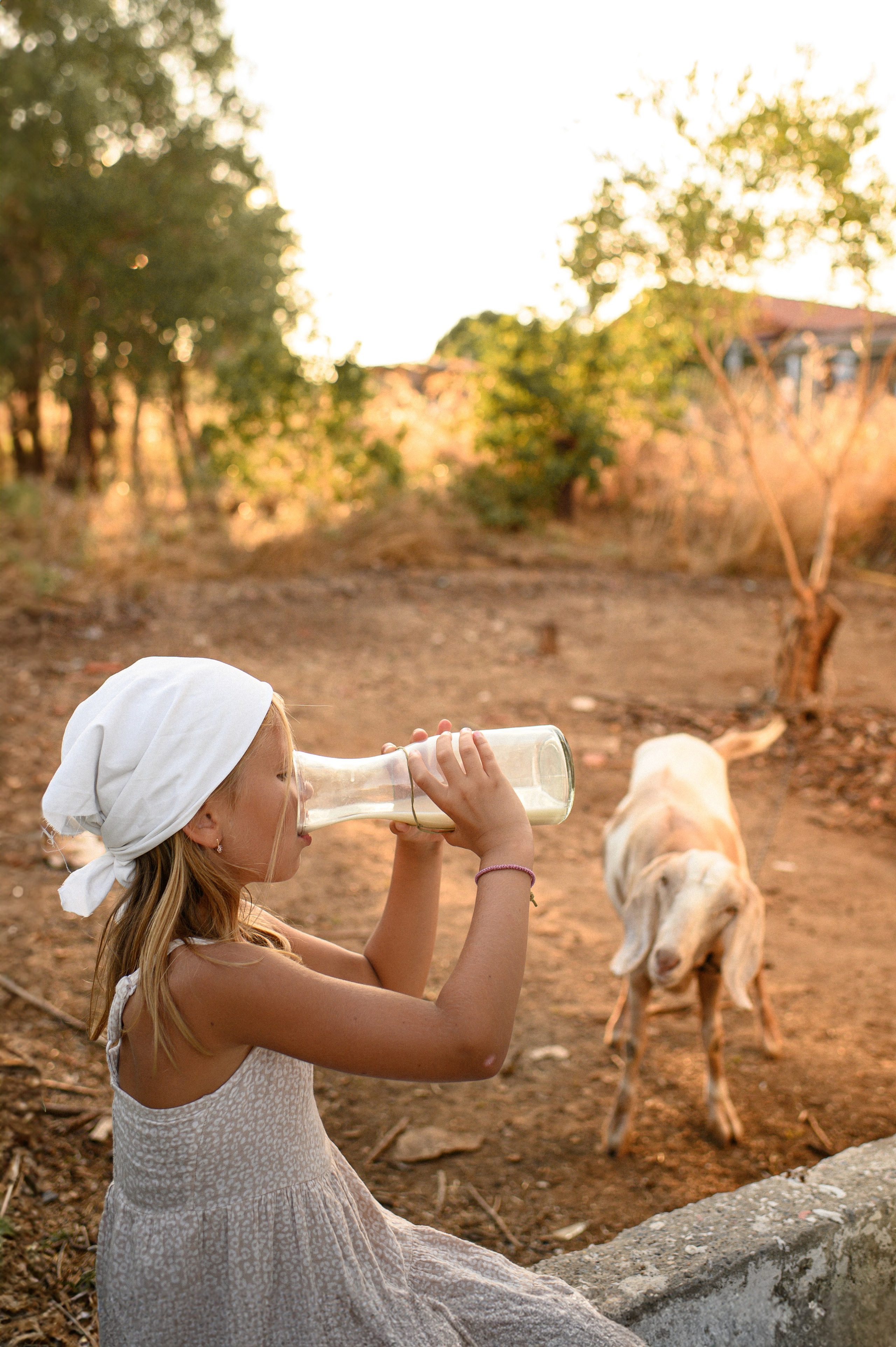 Goat. Family, children, portrait, and event photography in Thessaloniki