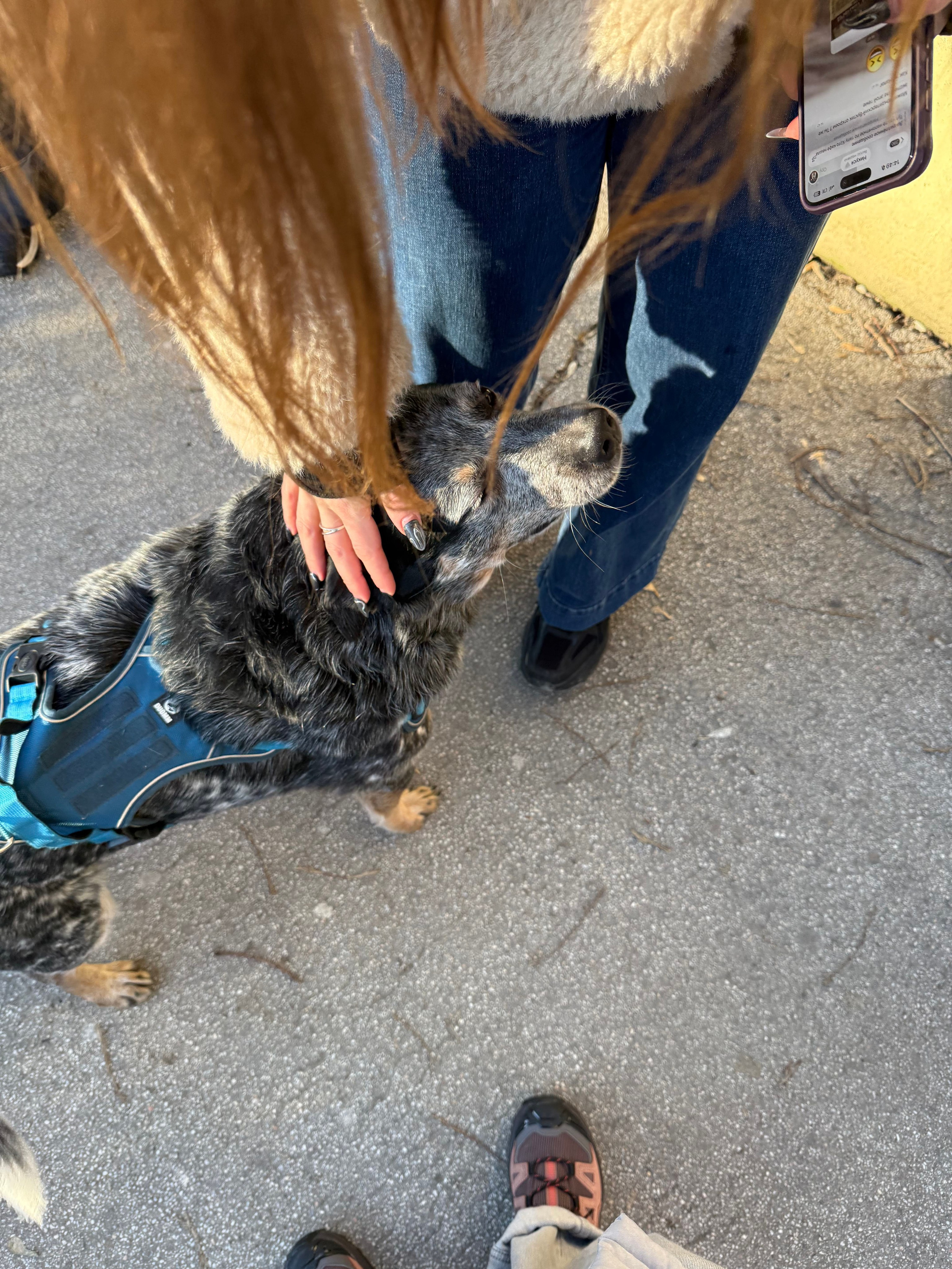 Как прошла первая фото-игра. Анастасия Еремина | Фотограф в Сербии | Персональные и бизнес-фотосессии в Белграде и Нови Саде