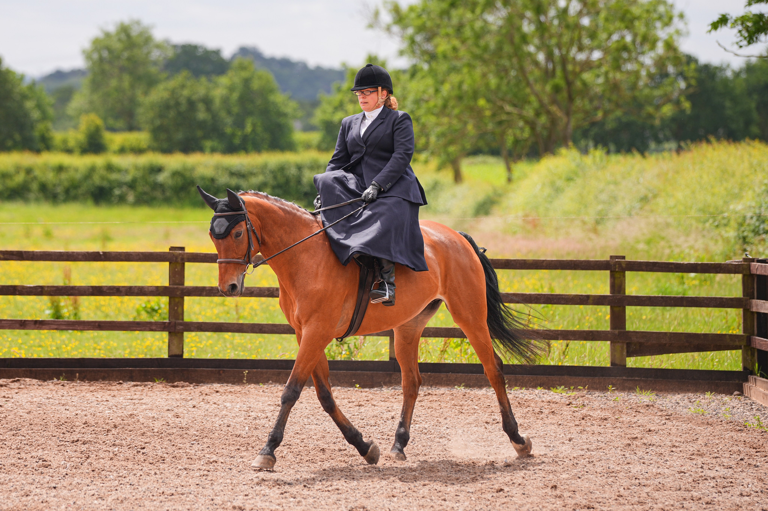 Dressage. Leicestershire Equine Photography by El | Authentic Equine Portraits & Events