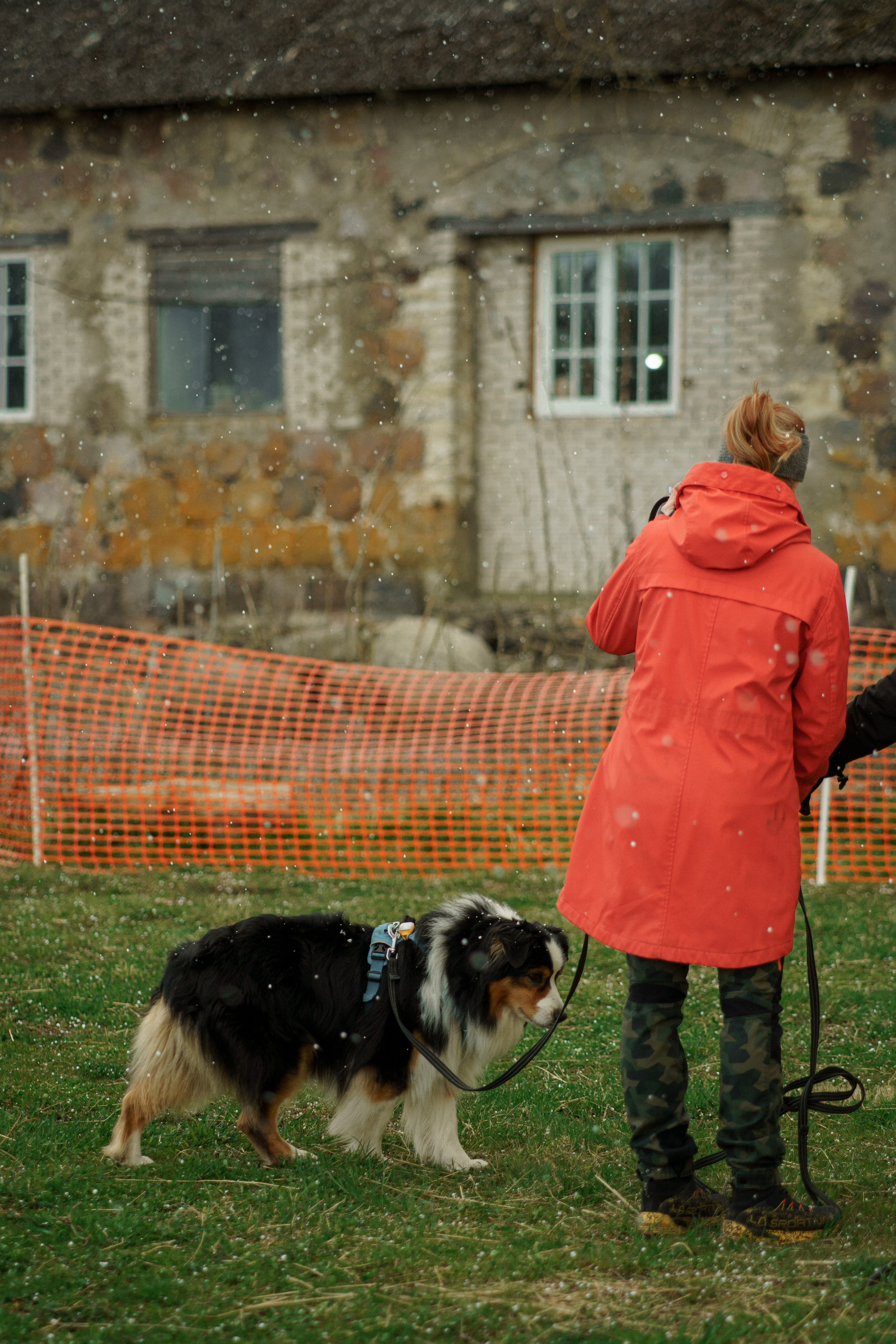 Herding Days, 26 apr. 2025. Kat Laisaar — Pet photographer in Tallinn