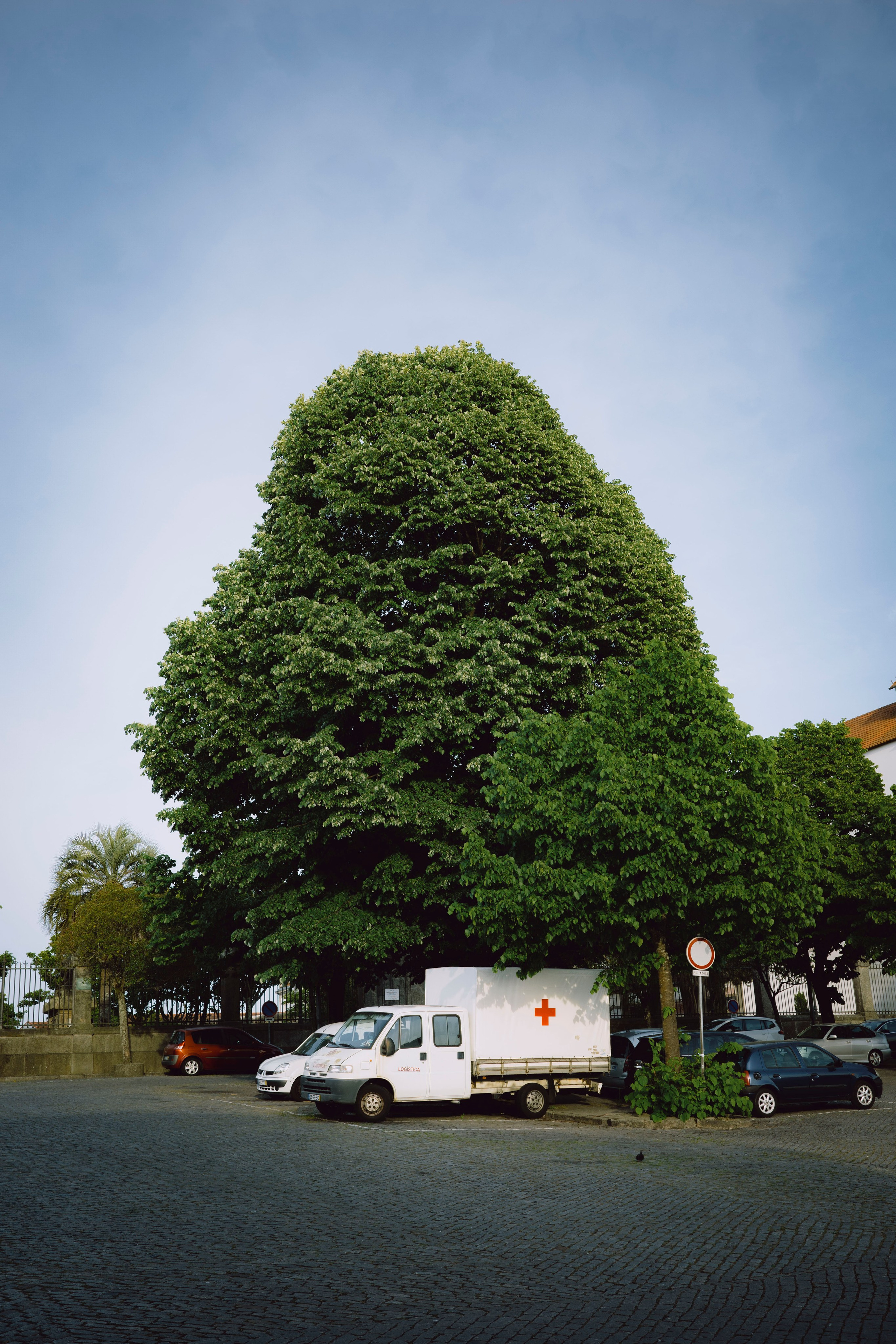 Работы Марии Шер. Sher.SCHOOL