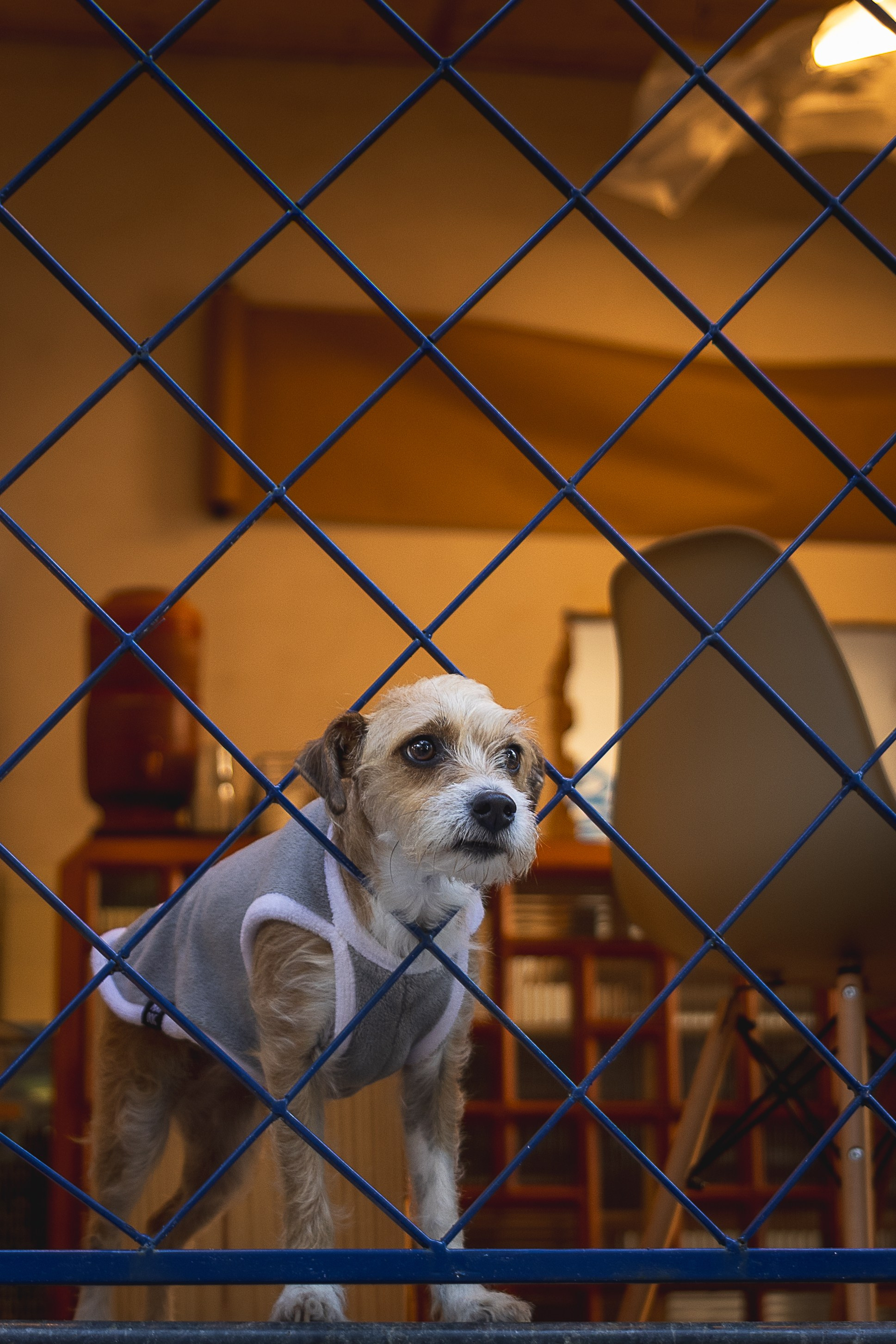 Eventos. Fernando Giopato