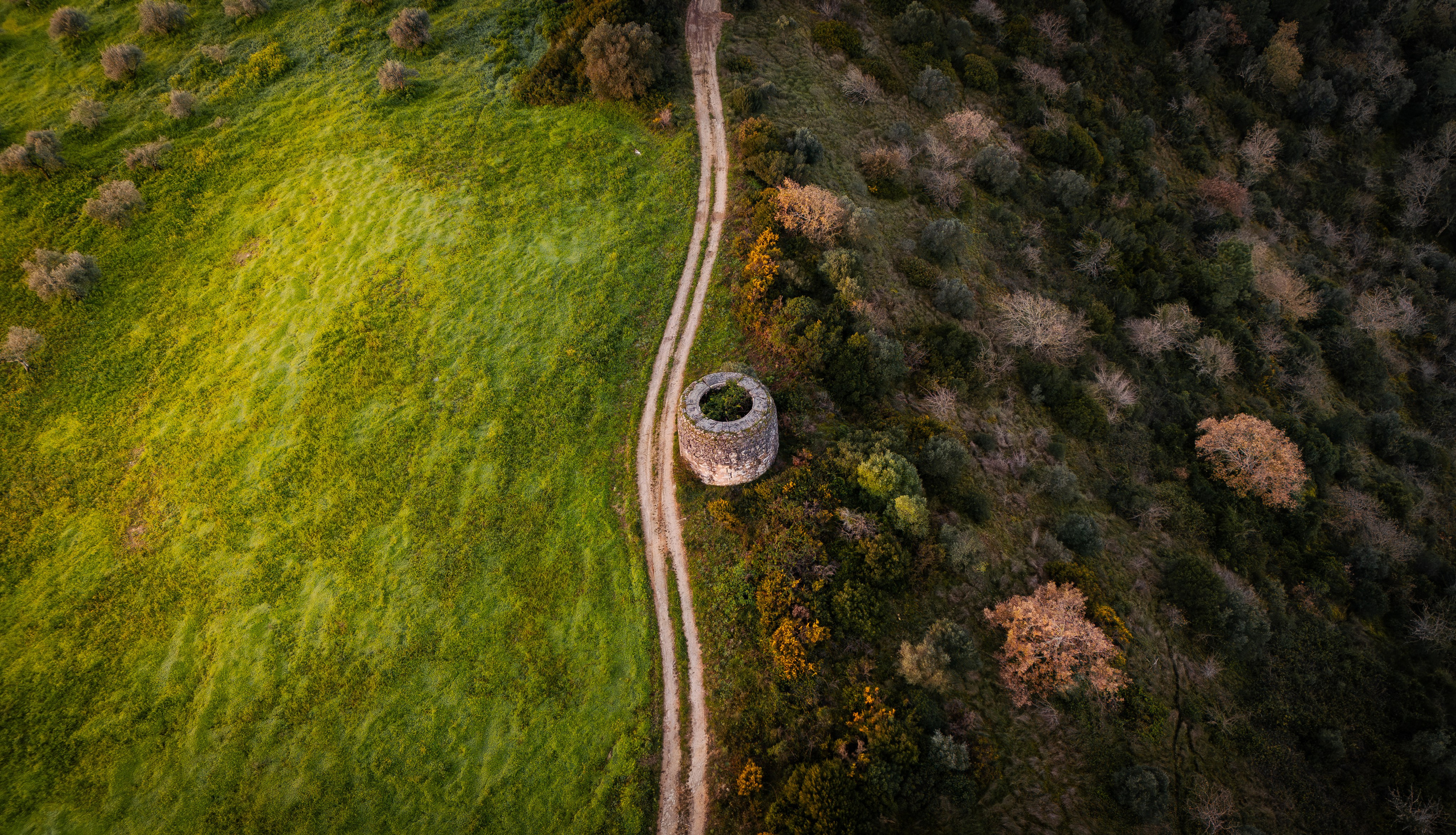 Fotografia de Natureza – Portfólio | Paulo Marques Photography. Paulo Marques Photography