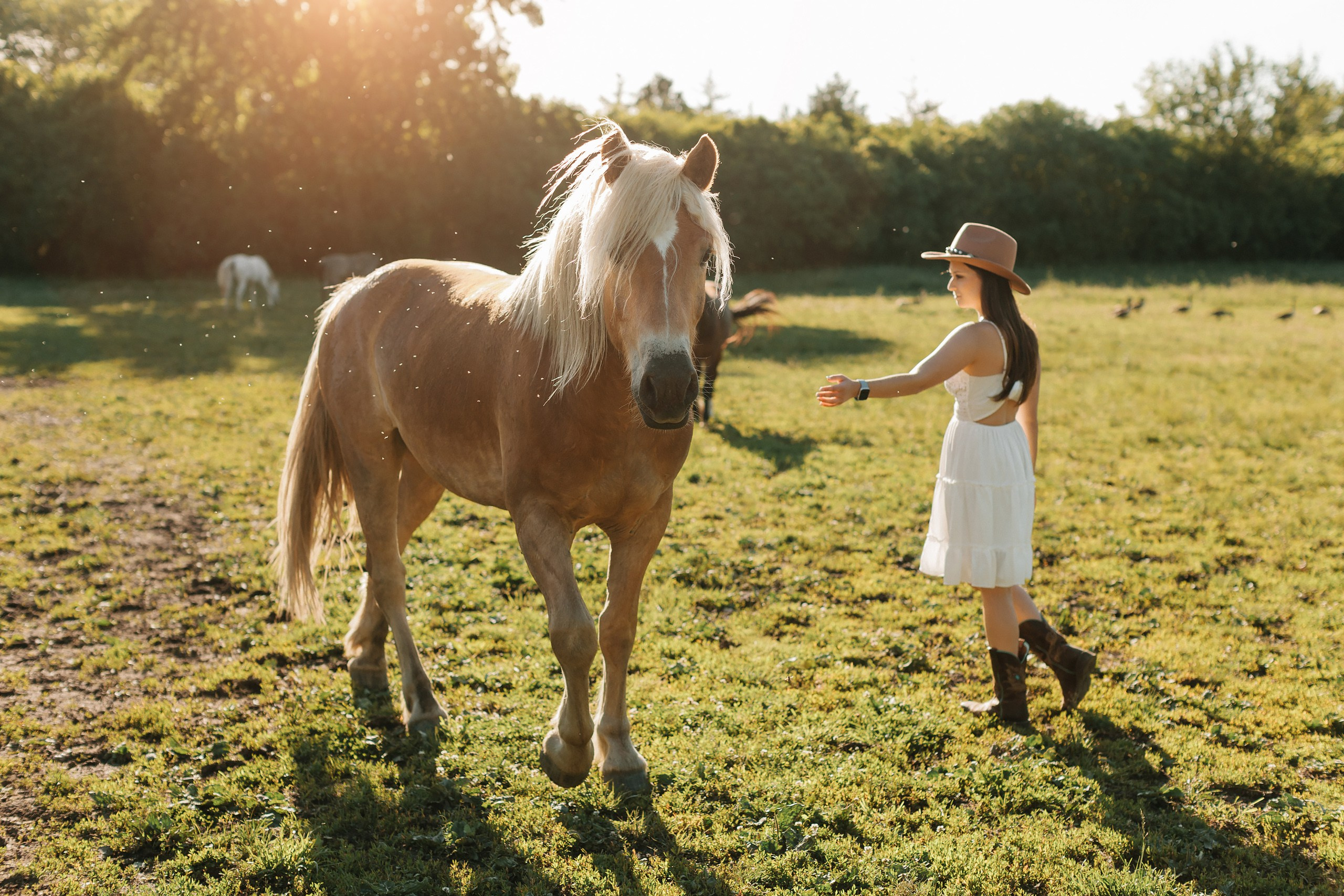30.05.24 Family Photoshoot. Wedding family event photographer in Chicago Nick Yushevich