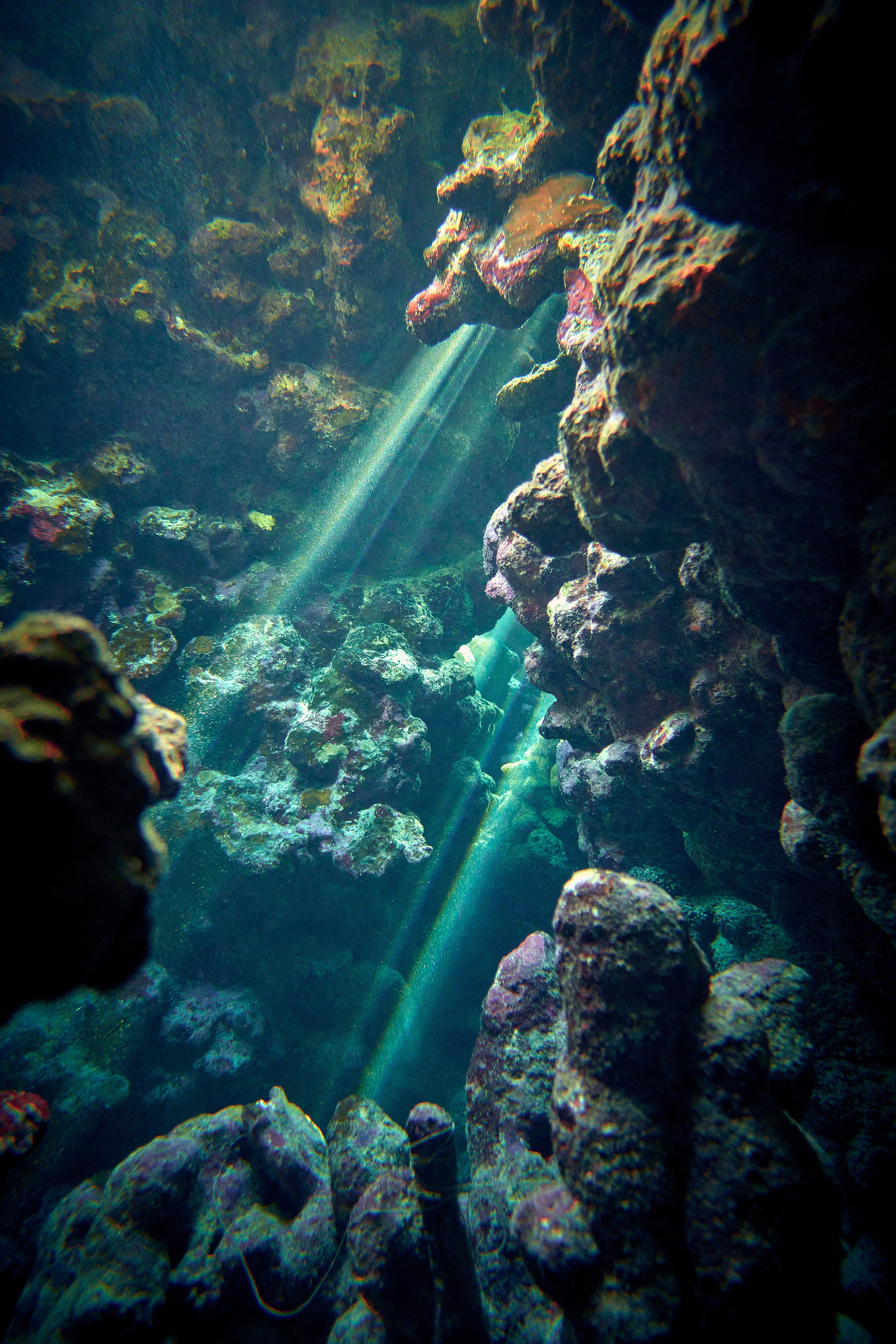 2023-11 - Diving Safari Deep South Egypt. Andriej Szypilow — Photography & Videography