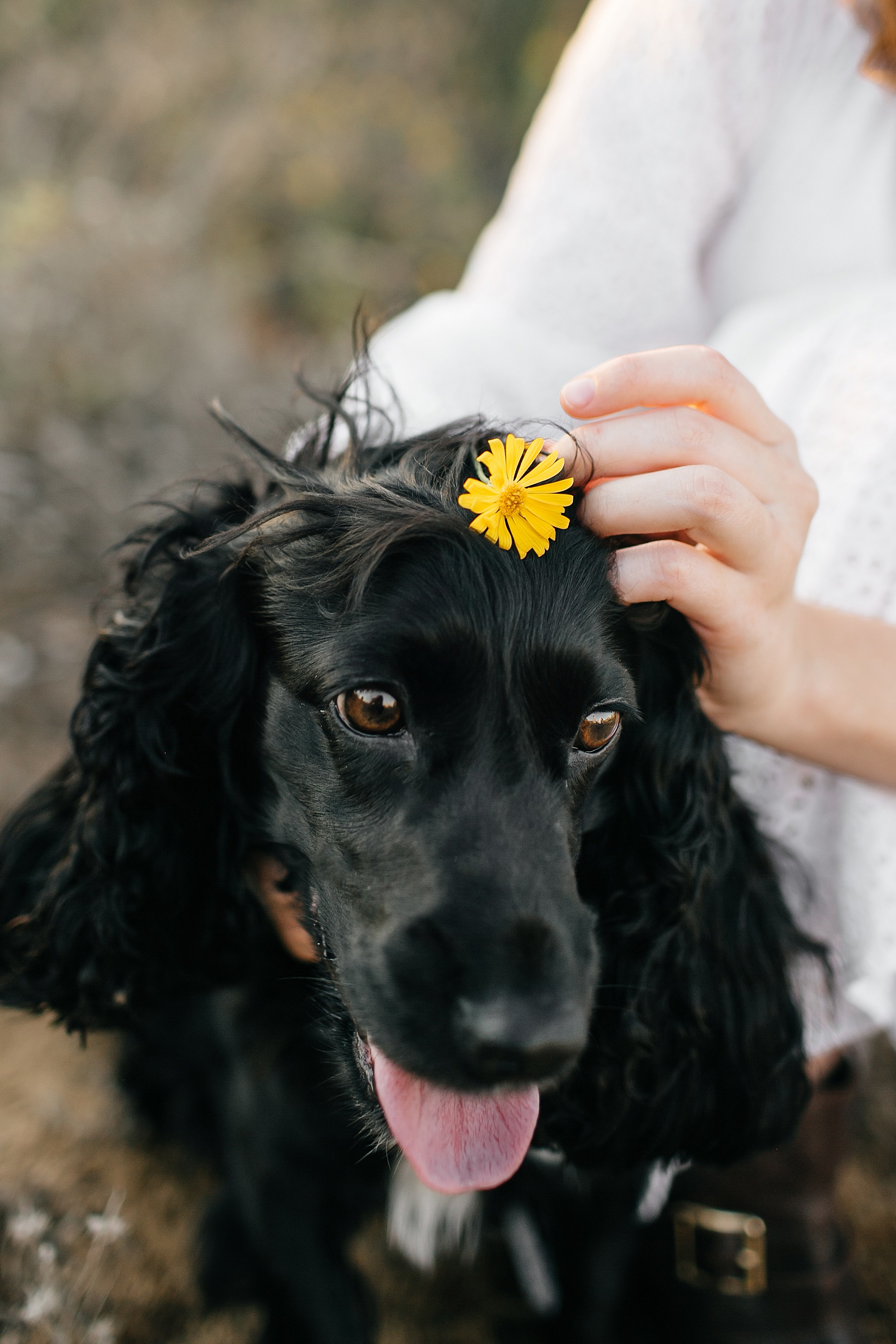 3 sisters Netanya. Family photographer in Israel