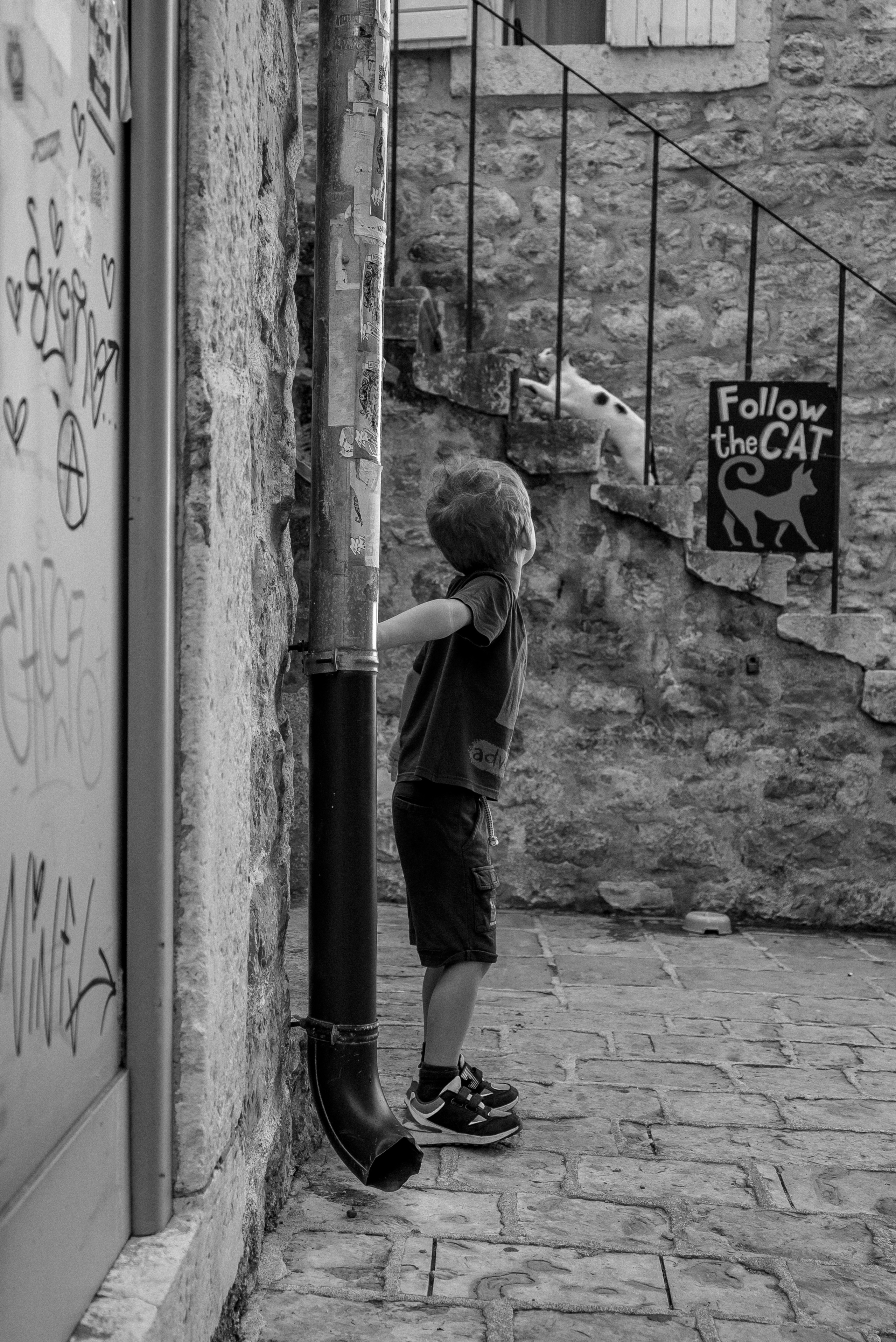 Будва. Старый город. Семейный фотограф. Сербия. Нови-Сад. Белград