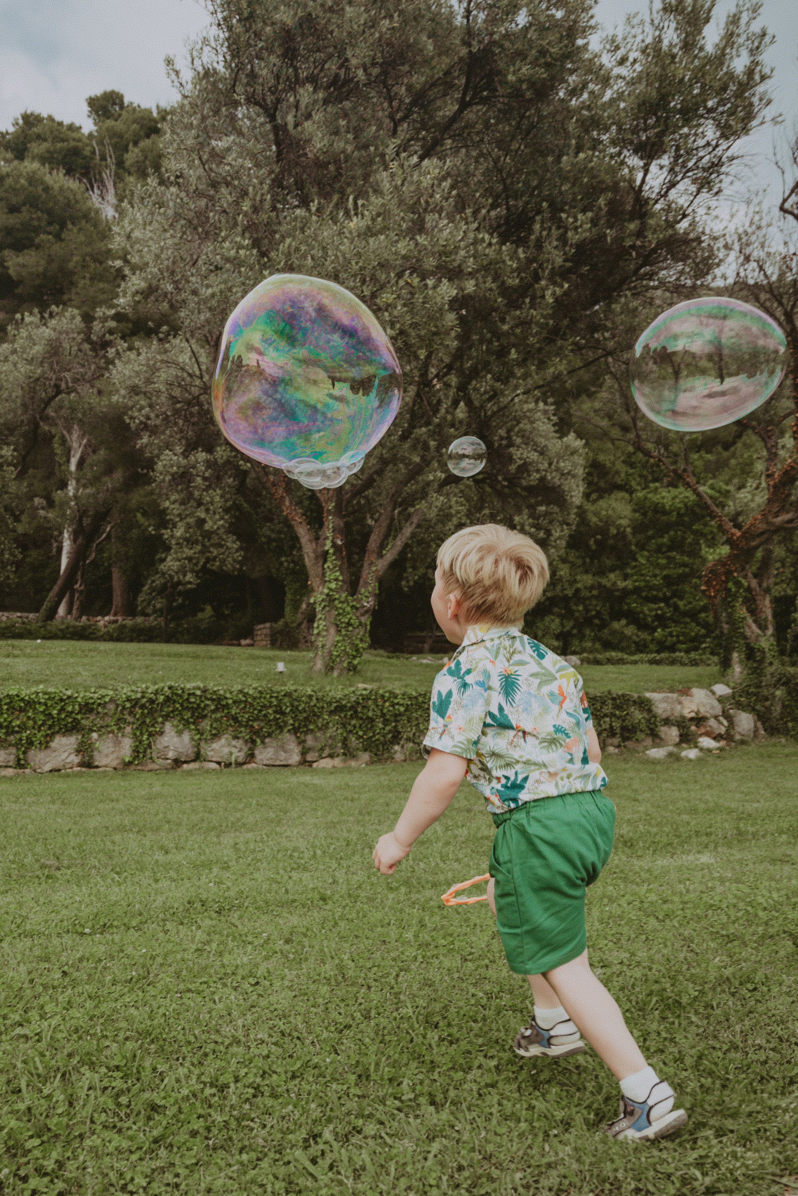 Свети-Стефан. Семейный фотограф. Сербия. Нови-Сад. Белград