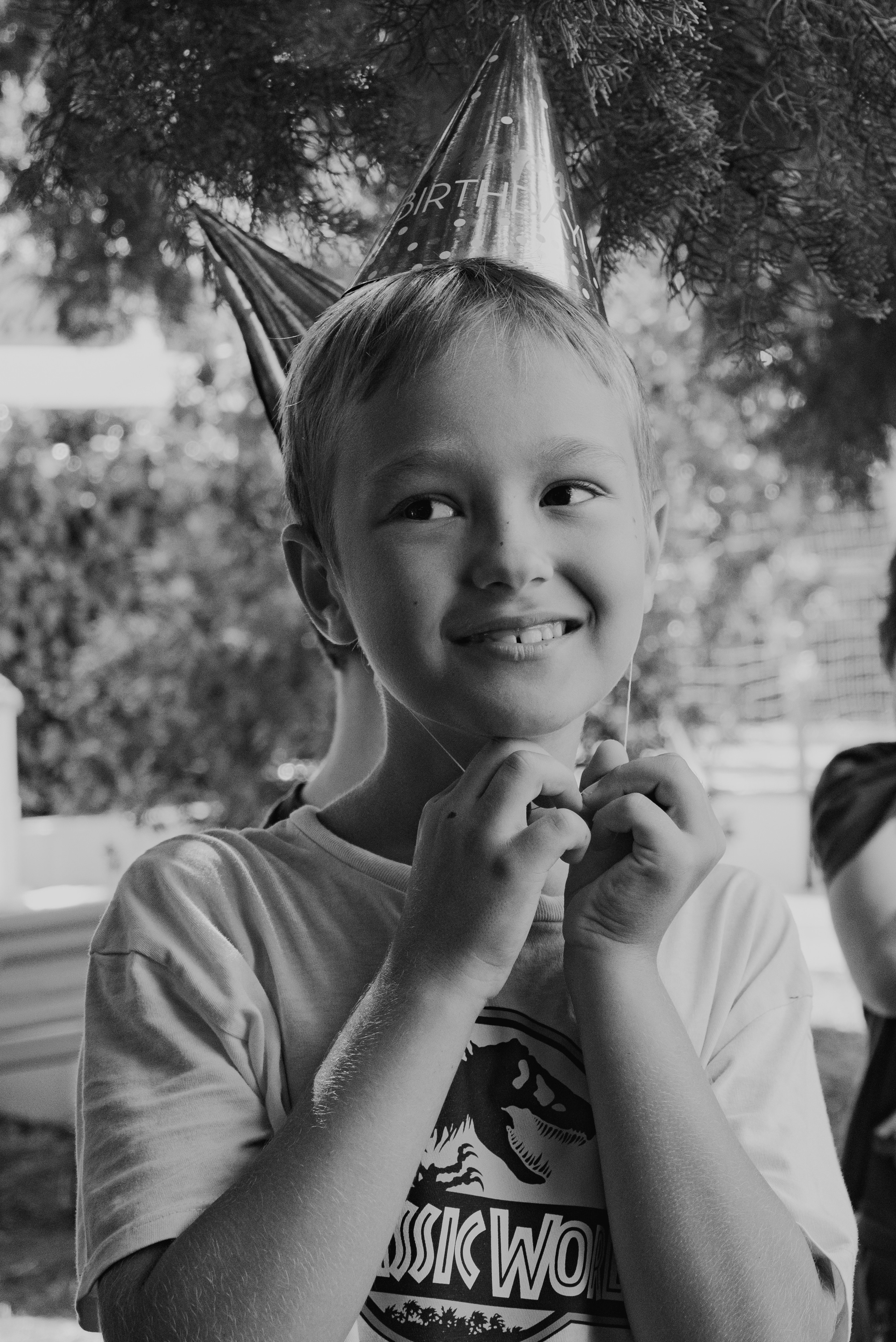 Birthday. Семейный фотограф. Сербия. Нови-Сад. Белград