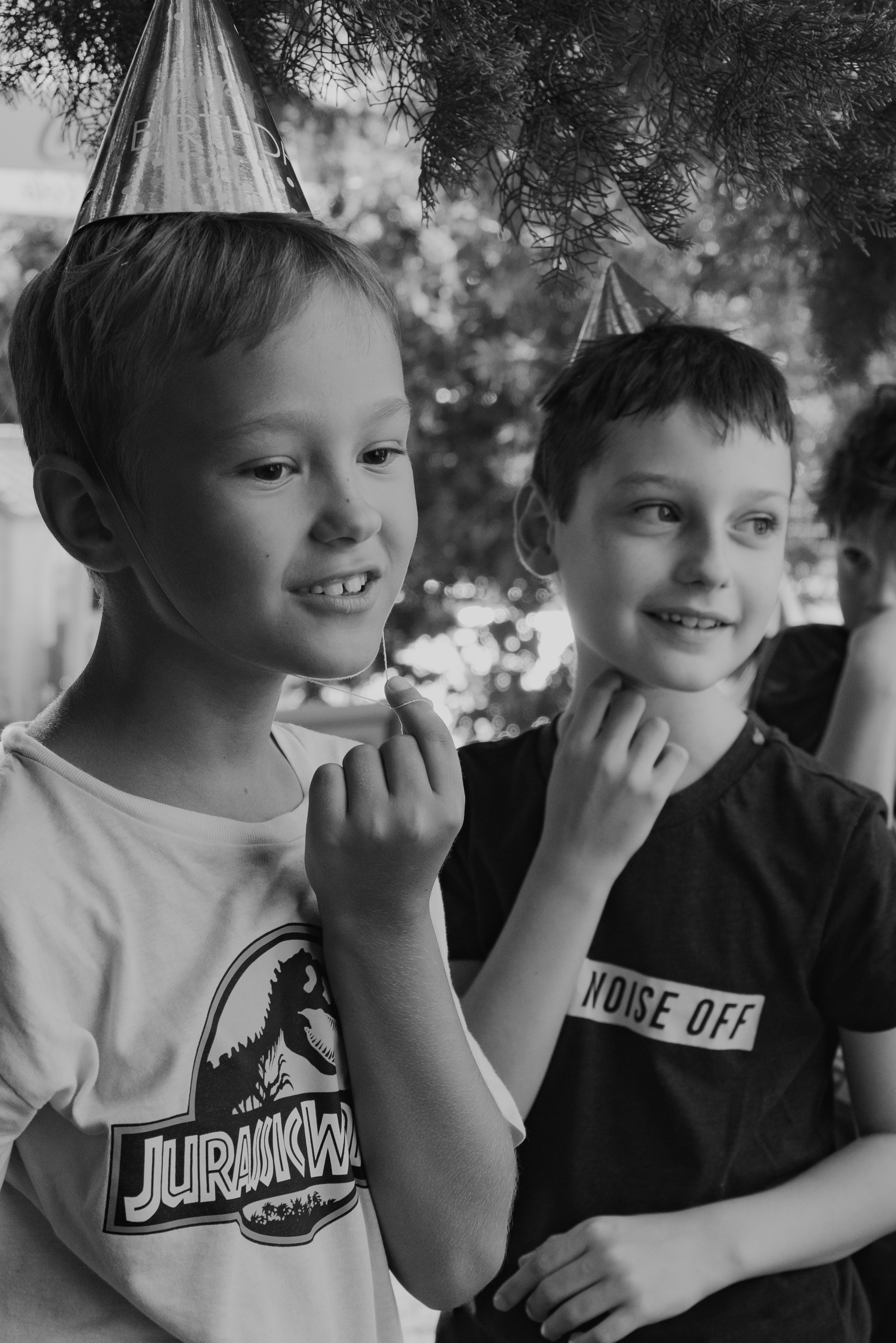 Birthday. Семейный фотограф. Сербия. Нови-Сад. Белград