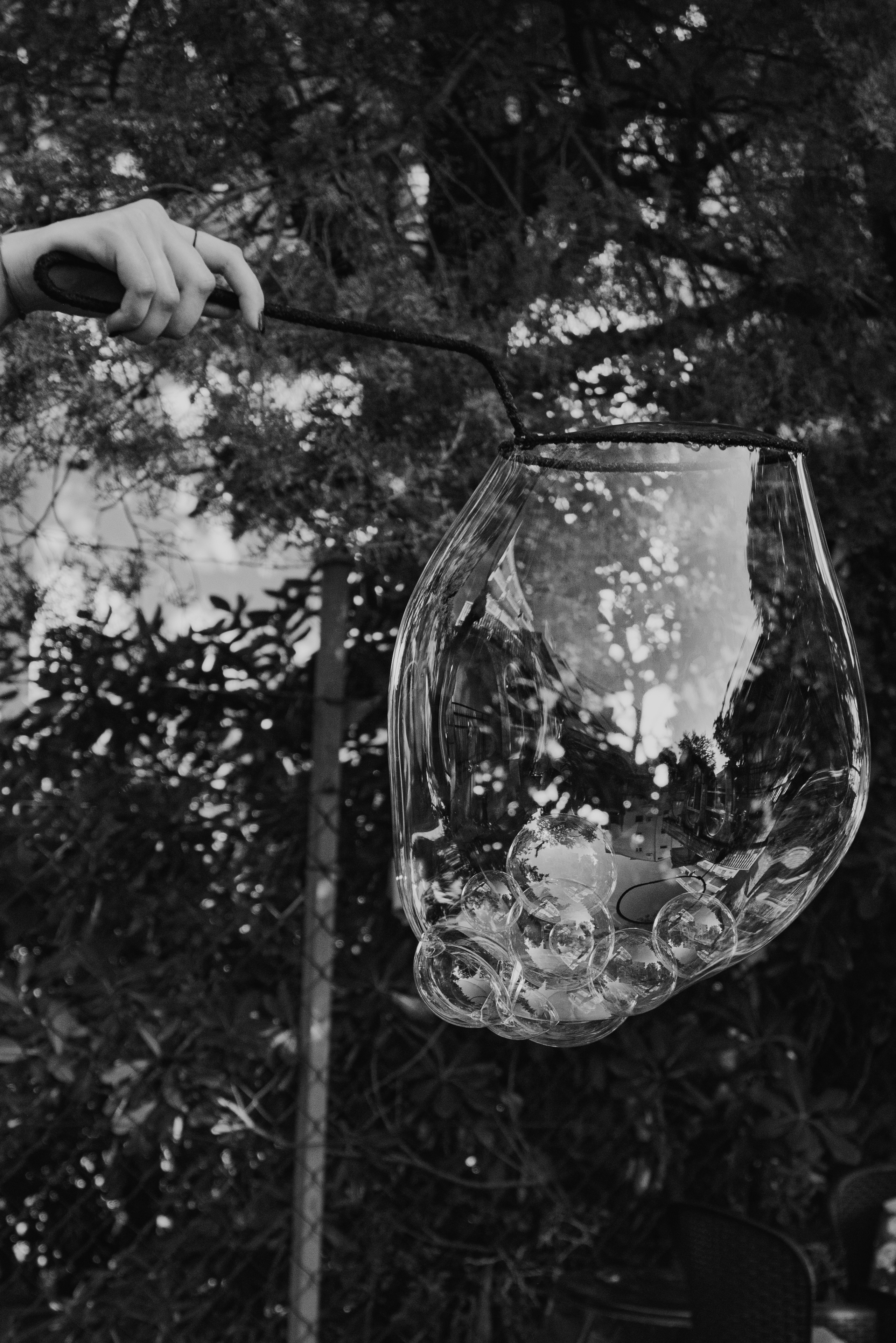 Birthday. Семейный фотограф. Сербия. Нови-Сад. Белград