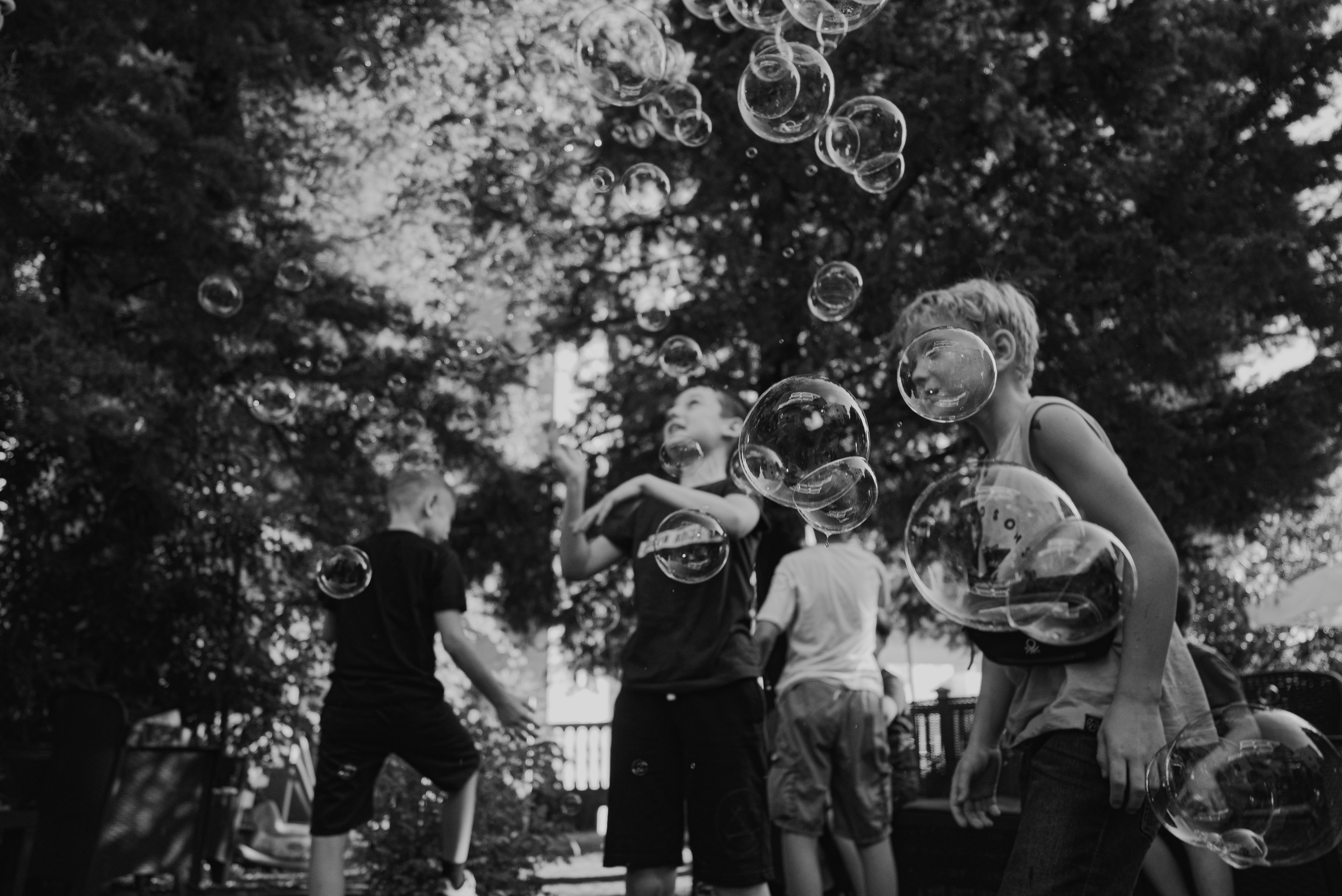 Birthday. Семейный фотограф. Сербия. Нови-Сад. Белград