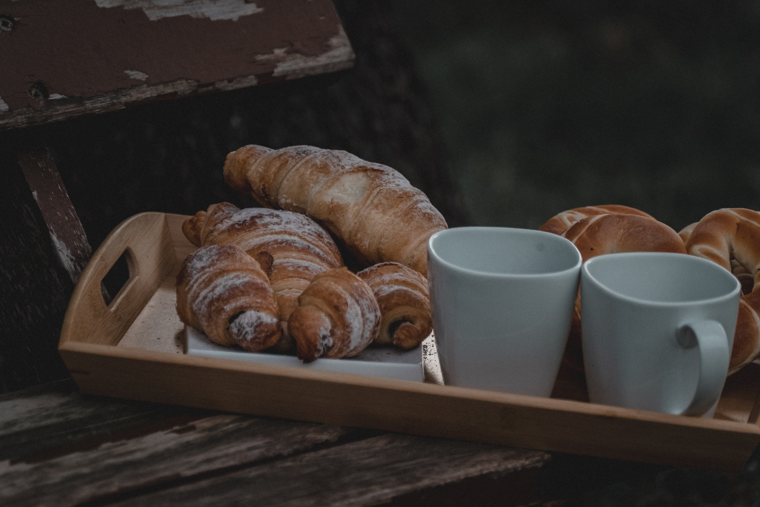 Одним осенним вечером…. Семейный фотограф. Сербия. Нови-Сад. Белград