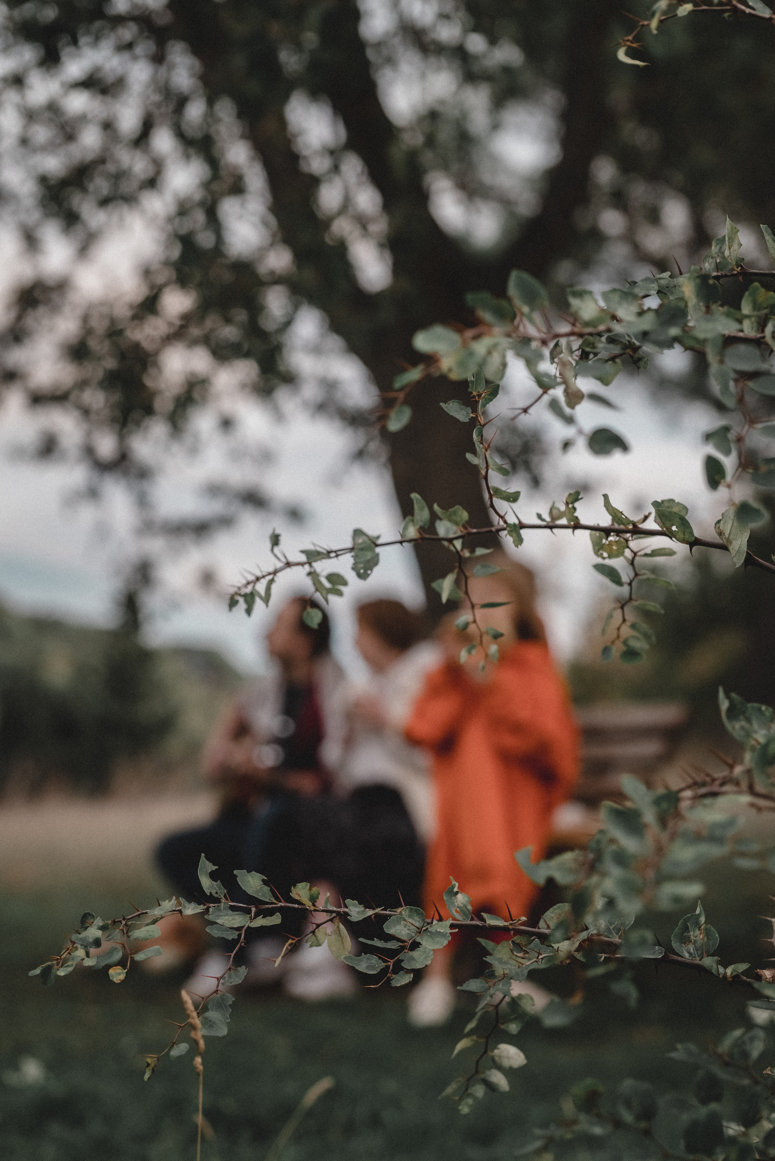 Одним осенним вечером…. Семейный фотограф. Сербия. Нови-Сад. Белград