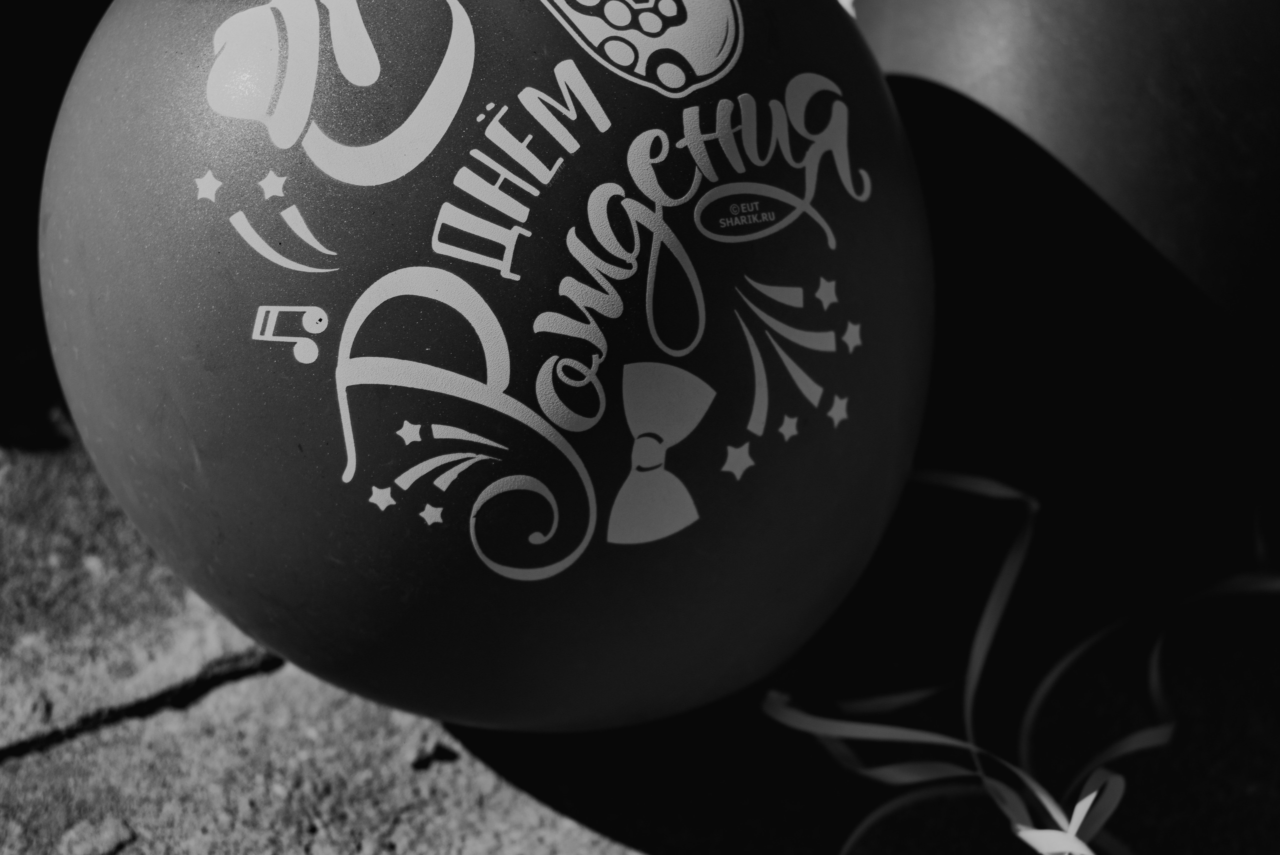 Birthday. Семейный фотограф. Сербия. Нови-Сад. Белград