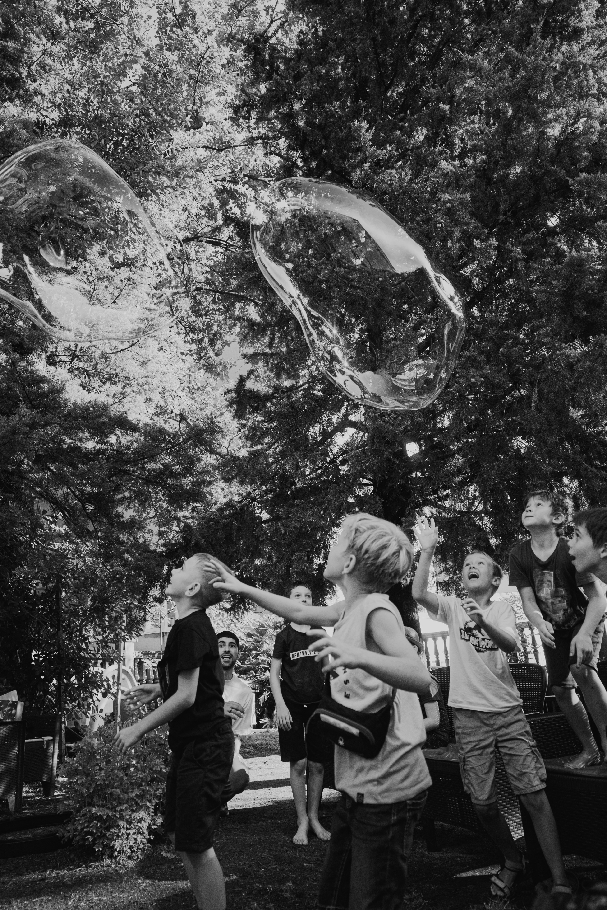 Birthday. Семейный фотограф. Сербия. Нови-Сад. Белград