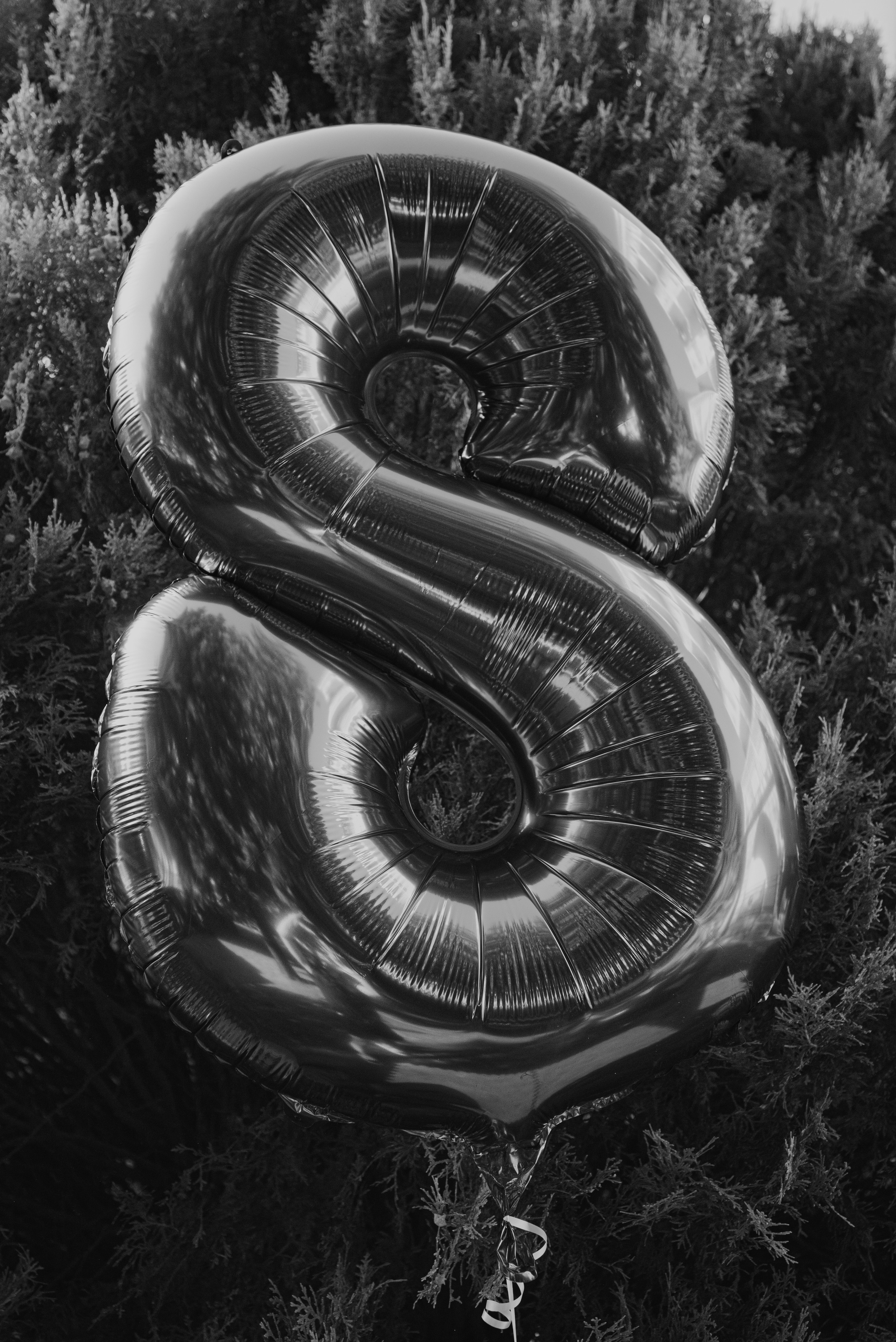 Birthday. Семейный фотограф. Сербия. Нови-Сад. Белград