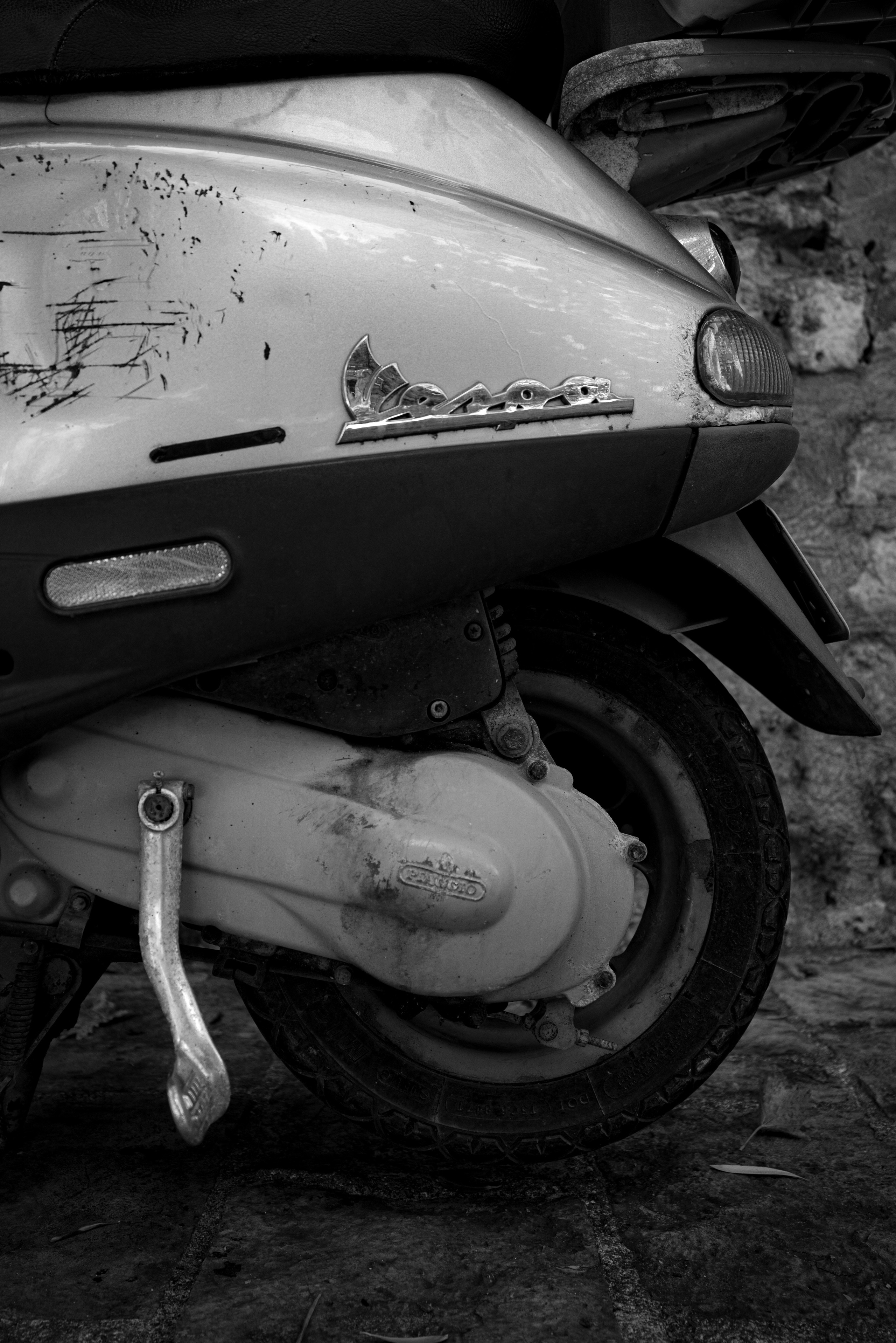 S&E. Семейный фотограф. Сербия. Нови-Сад. Белград