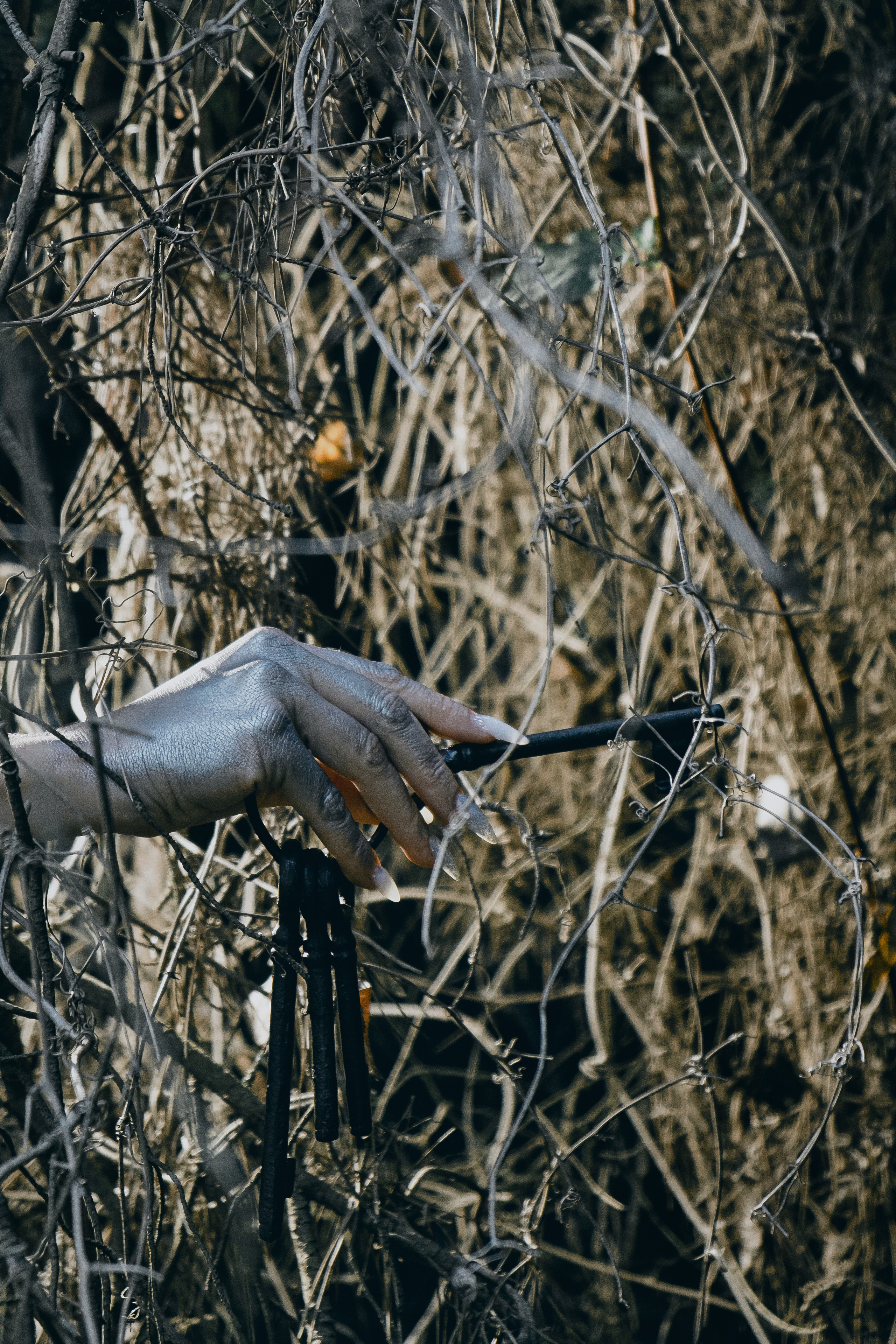 Charmed. Креативная фотосессия в лесу в Испании