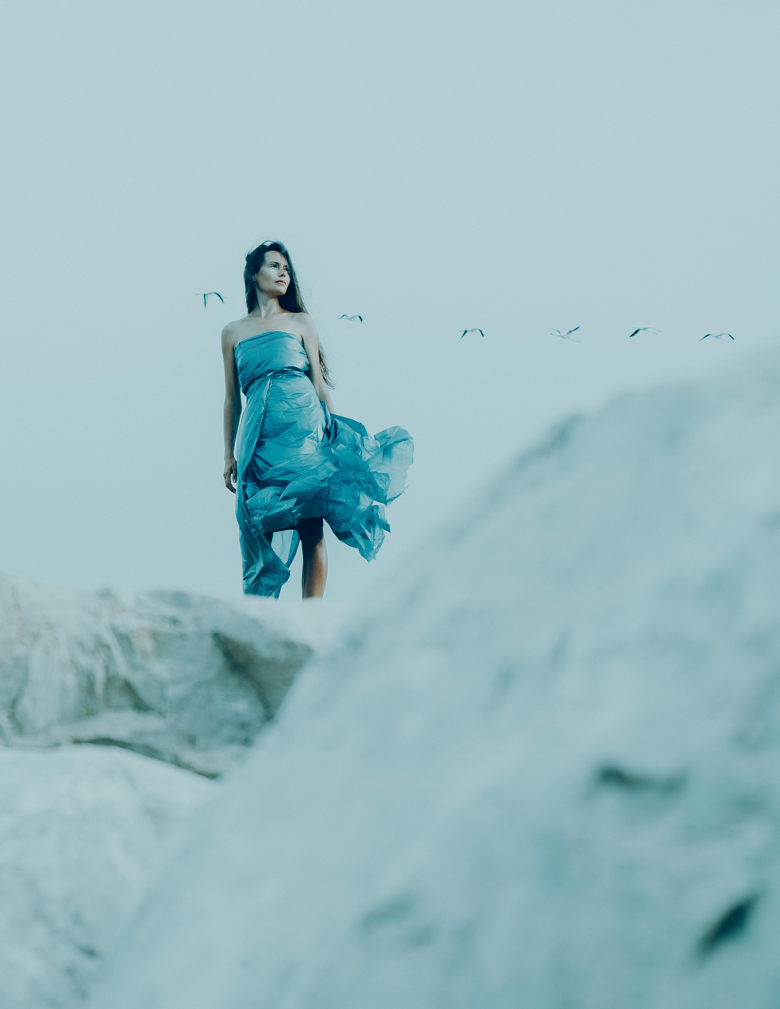 Photo session on the topic Environmental problems in the modern world