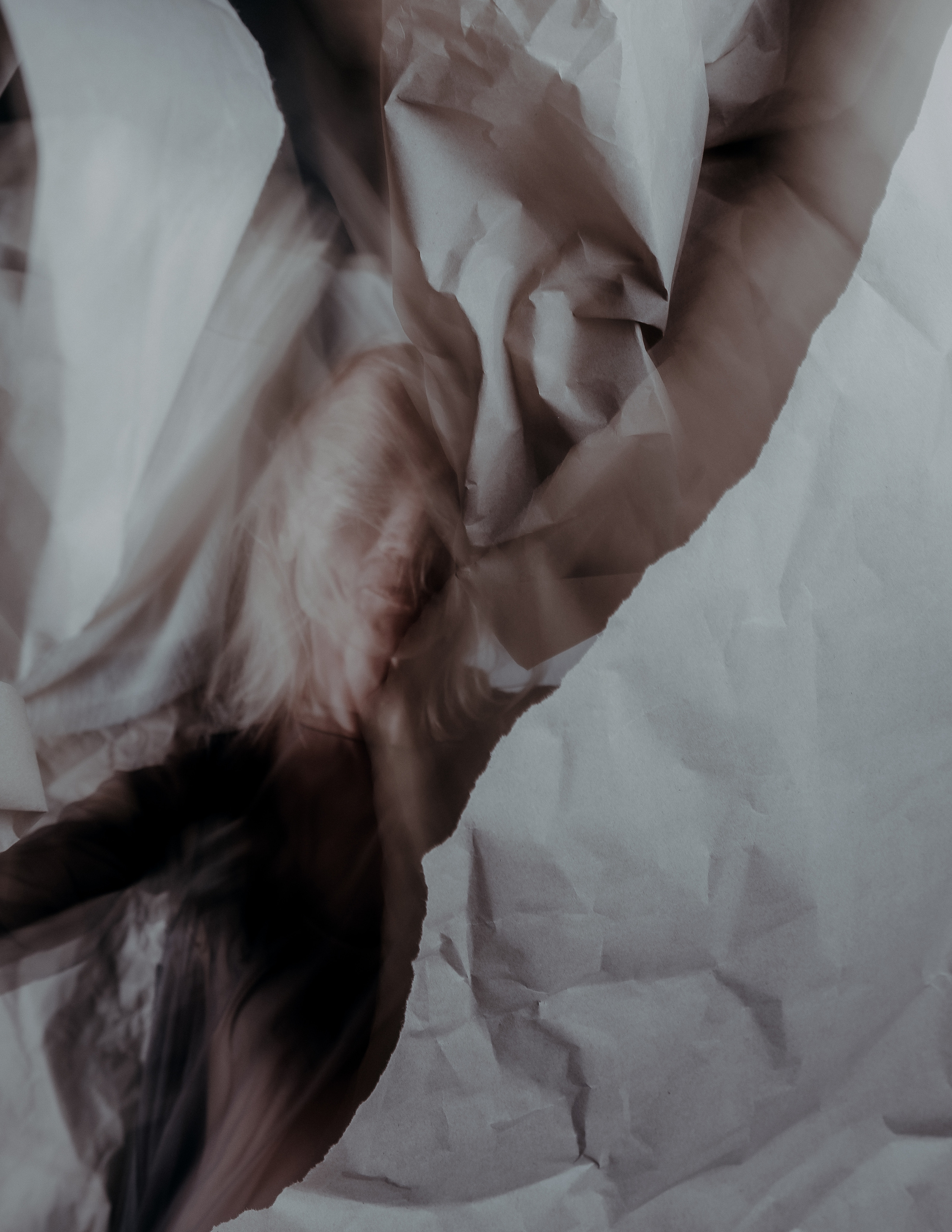 Paper World. Креативная студийная фотосессия в стиле арт хаус