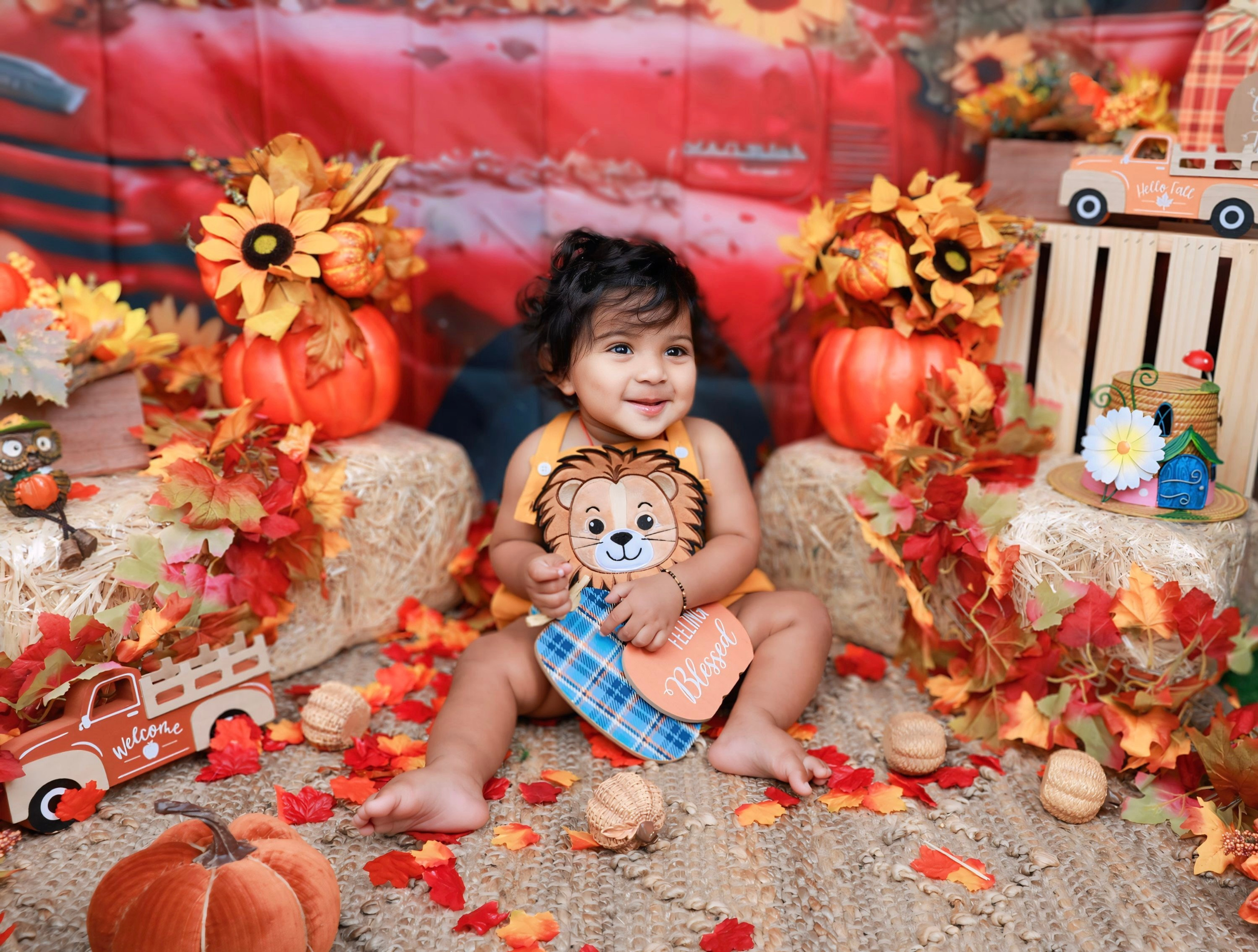 Fall and Halloween. AP Lens Photography | Newborn, Maternity, Milestone & Family Photographer Little Elm TX