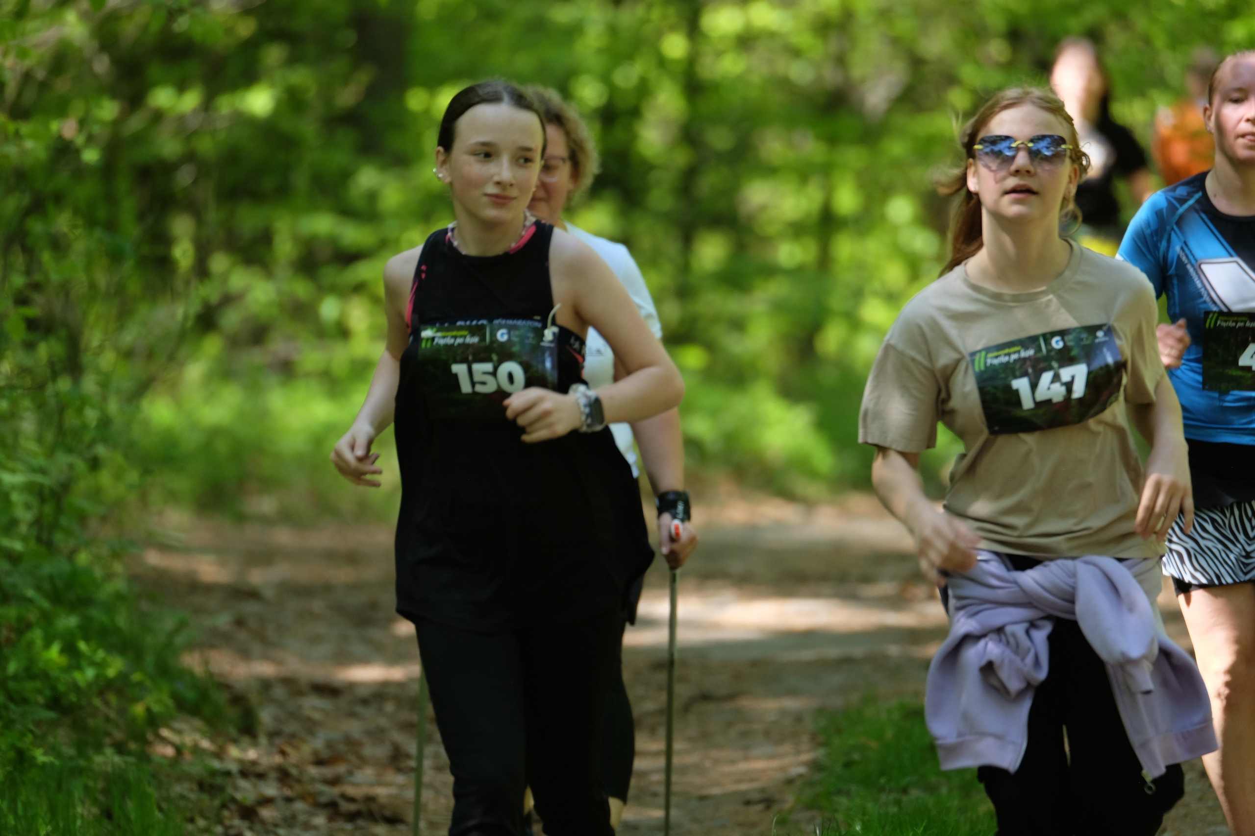 Aleksandryjska Piątka po lesie. Main