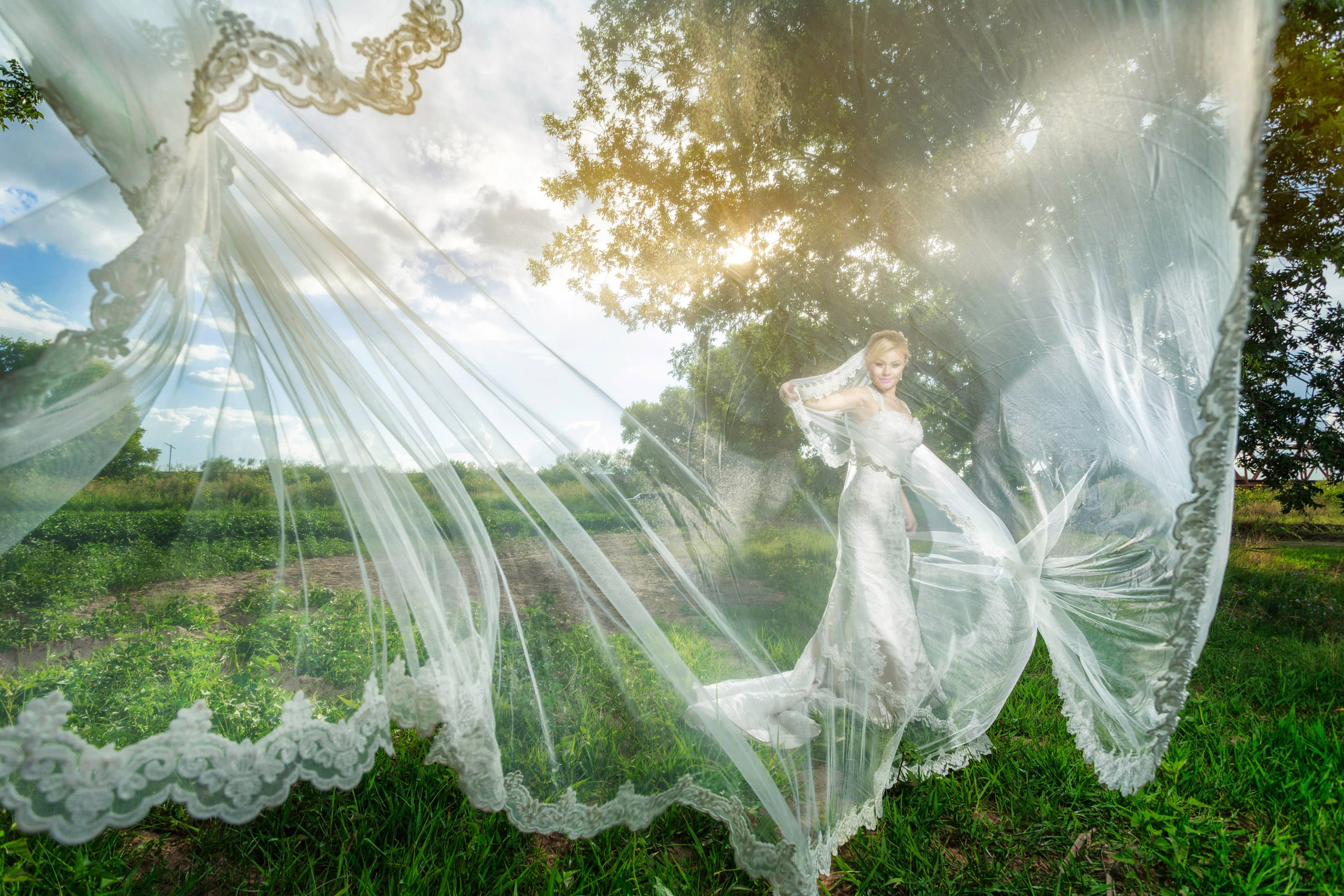 Wedding. Professional Photographer in Chihuahua, Mexico — Alex Mendoza