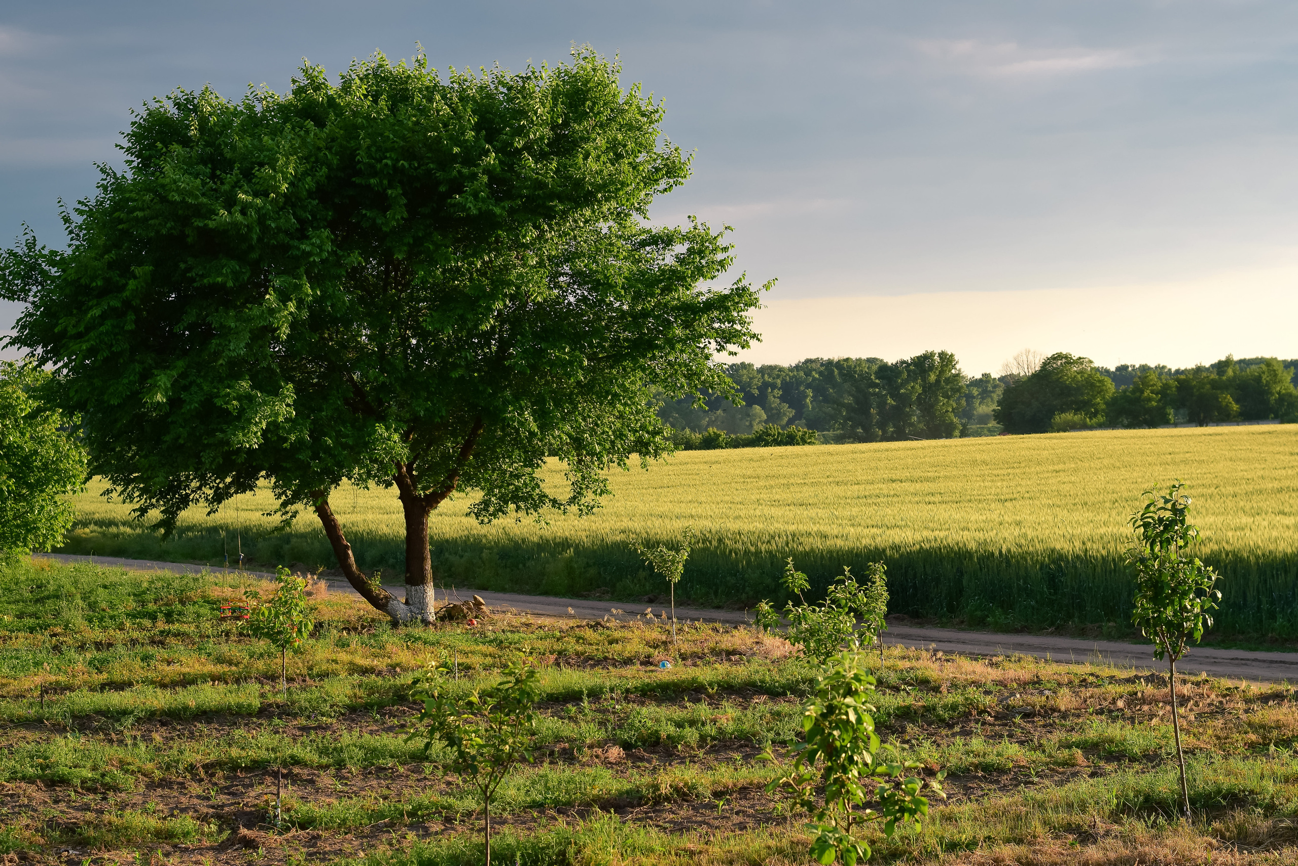 Георгий, Валентина и Богдан. Семейный и детский фотограф/ репортаж в ПМР Наталия Филимонова