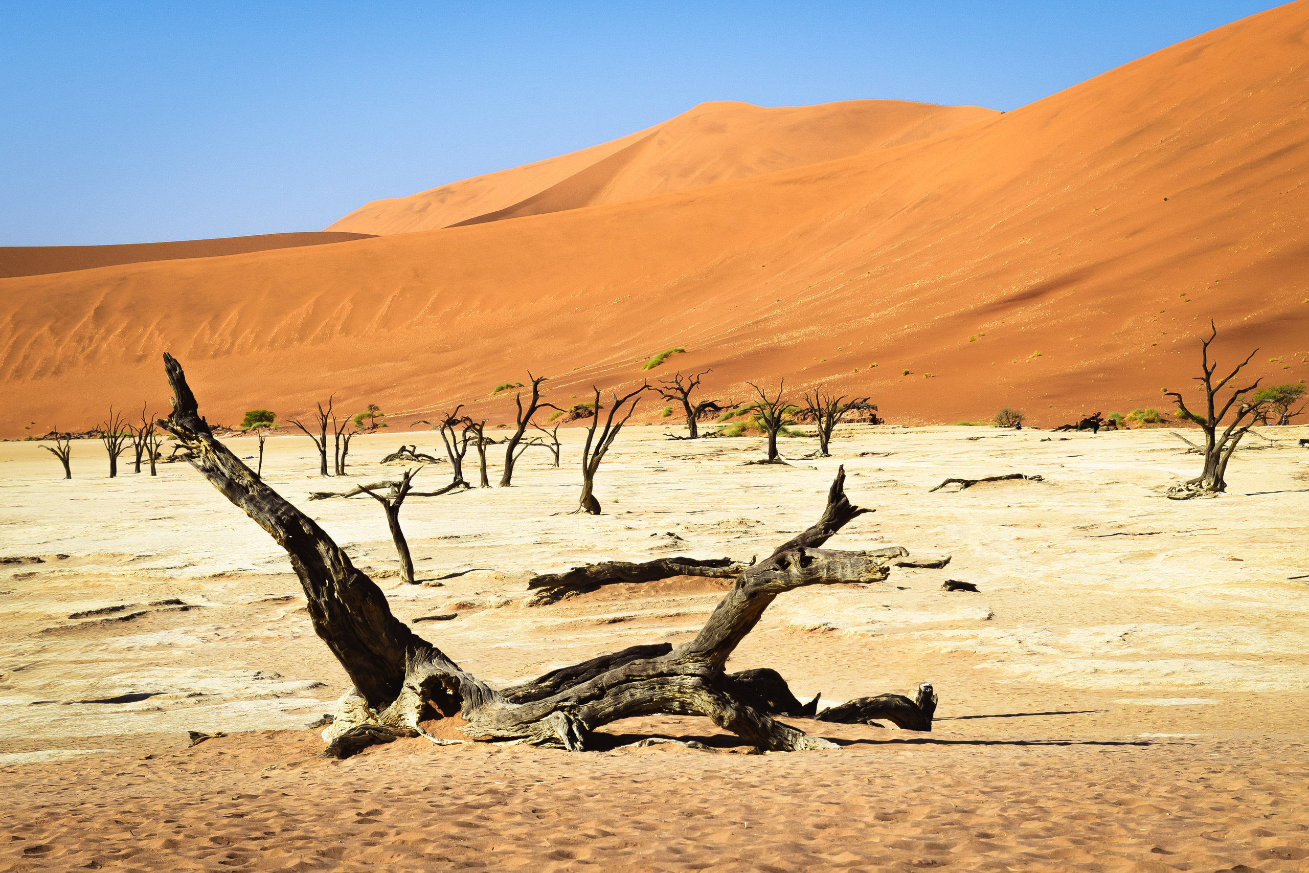 Travel. Klausenburg Photography