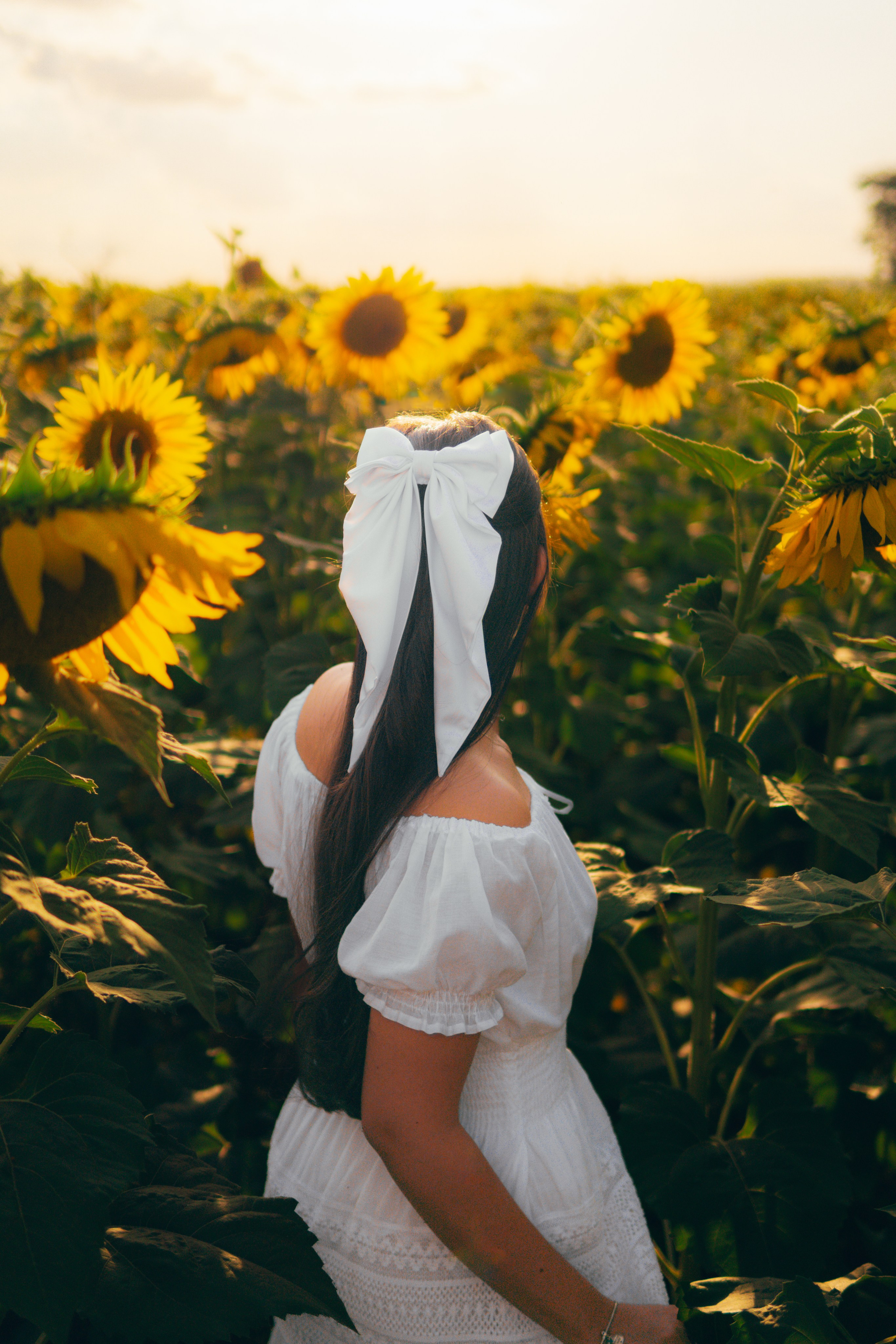 Debutante. Reference Visuals