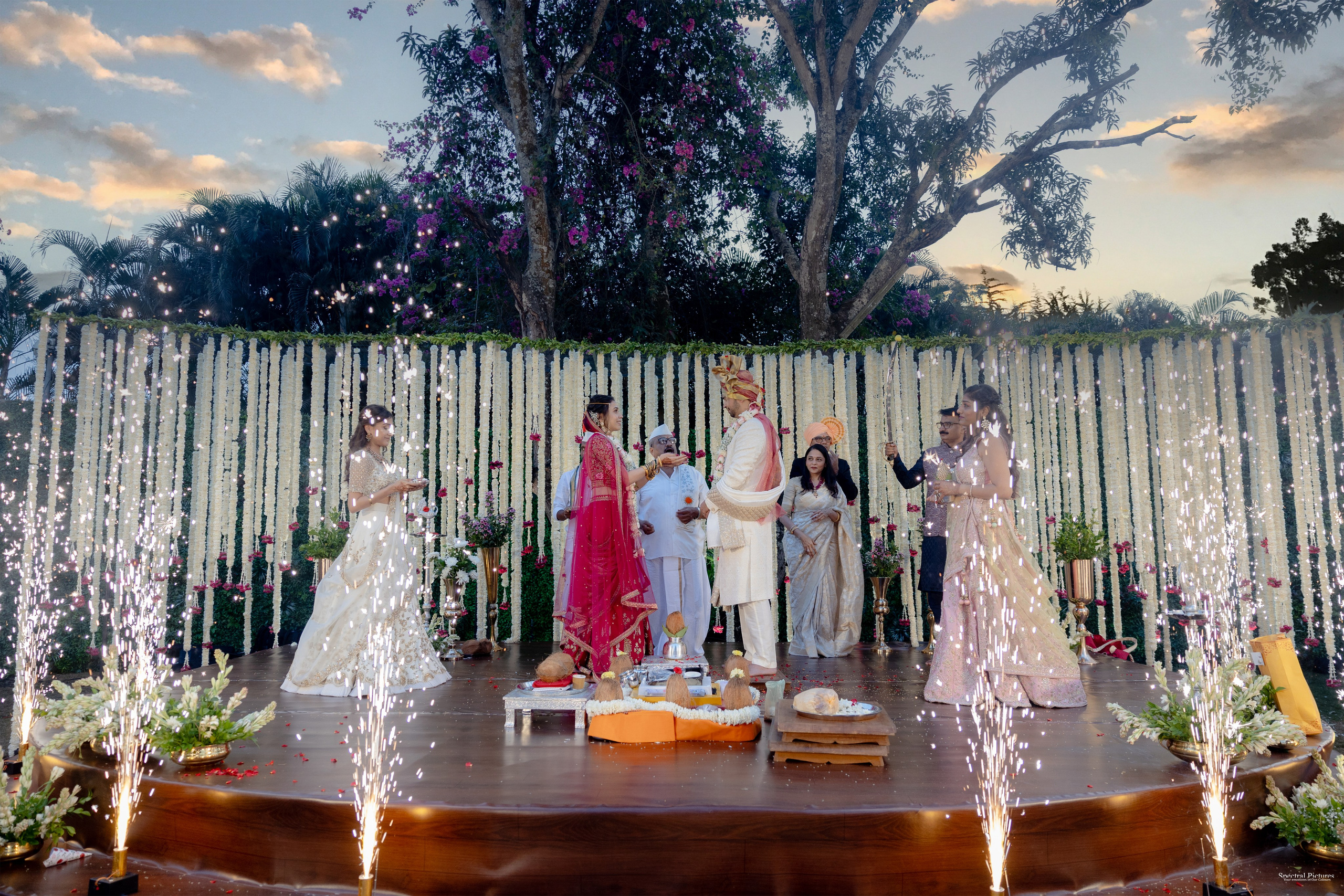 Tanvi & Neil | Wedding